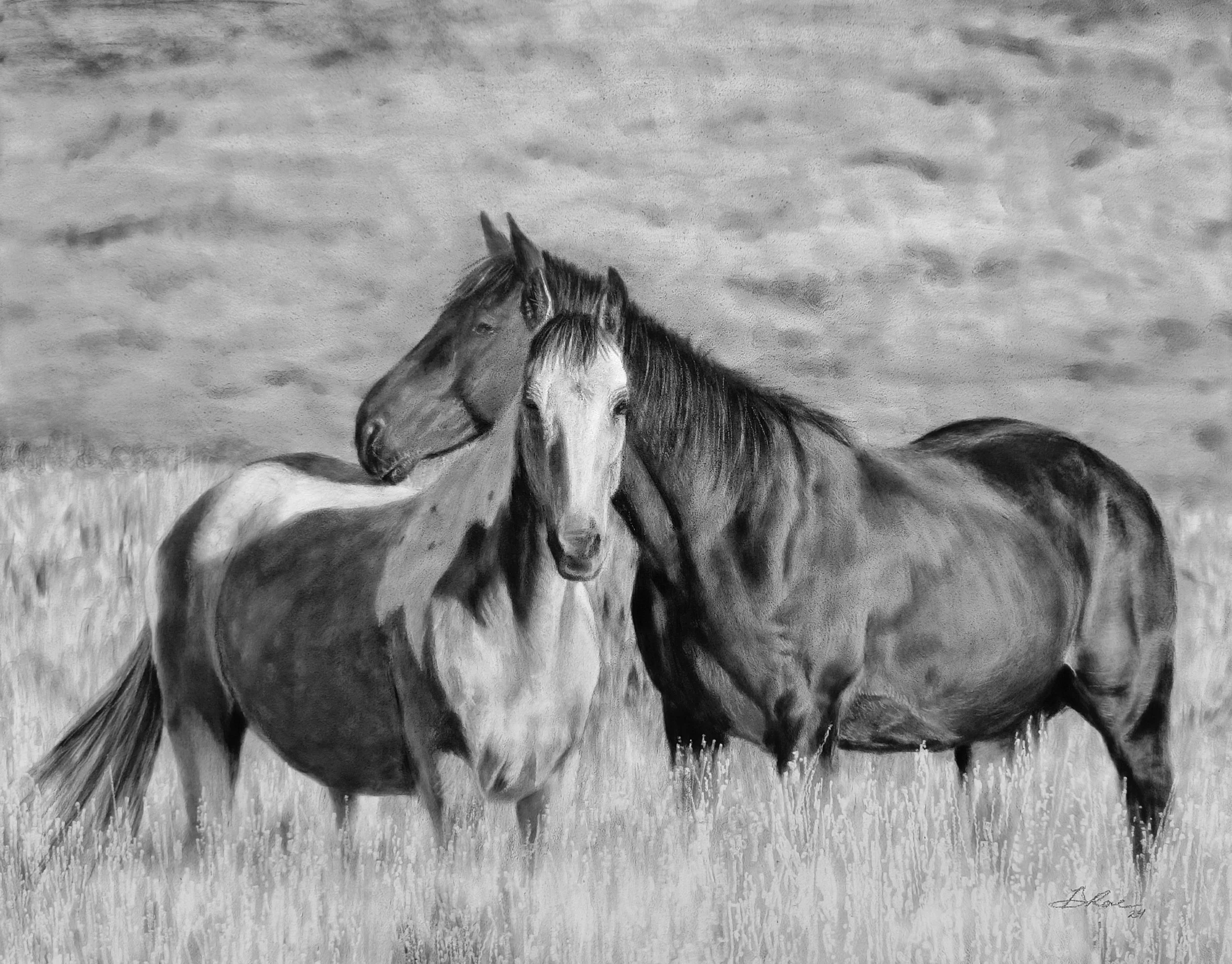 Amber Scally - Faireoirí.jpg
