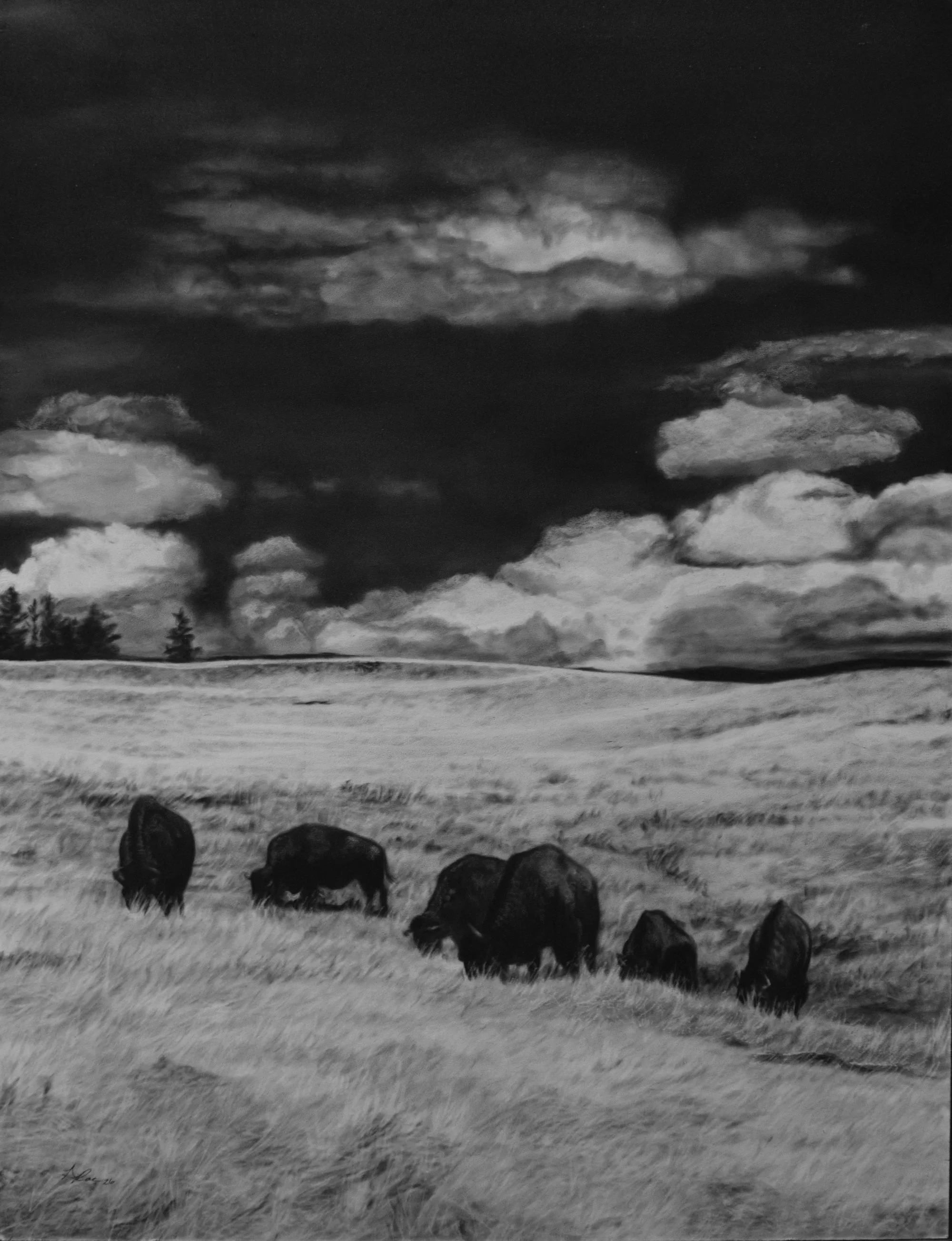 Bison Prairie under 5 mb 300 dpi.jpg