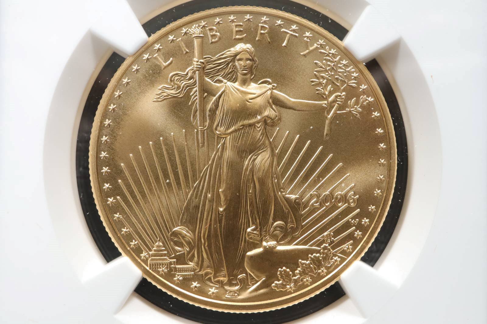 Featured item of the day, from our gold coin sale!

GOLD 2006-W $50 NGC Ms70 BURNISHED American Gold Eagle

Auction ends: Saturday, May 11th at 6:16pm EST

View the auction and bid: https://www.ebay.com/itm/386974462492