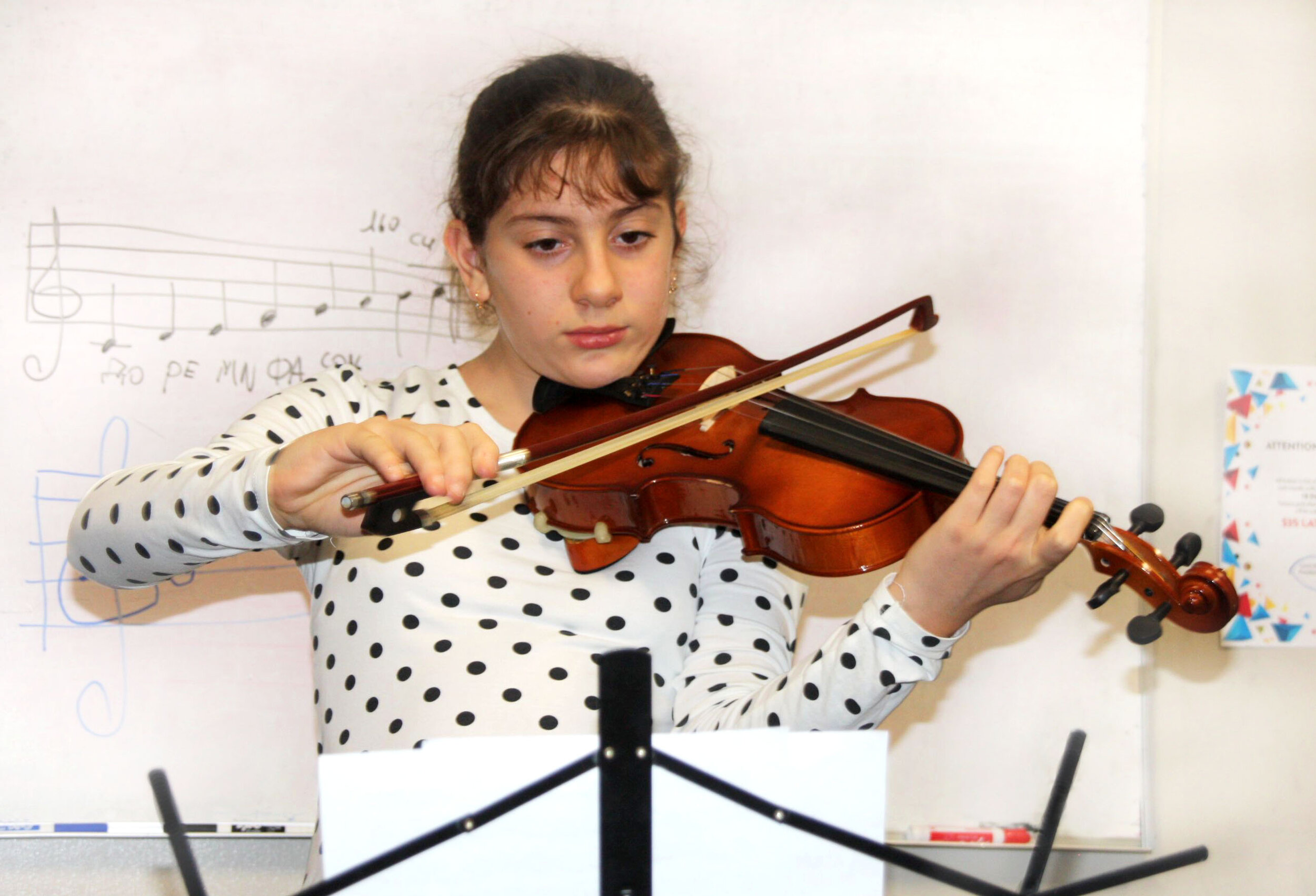 Violin Lessons Woodland Hills