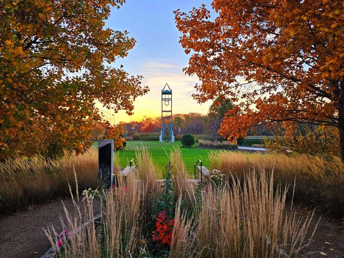 Autumn Forest Bathing at Reiman Gardens