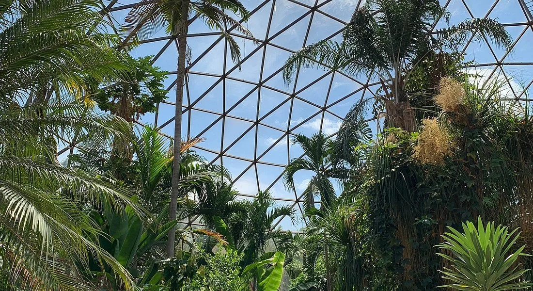 Seasonal Forest Therapy at the Garden