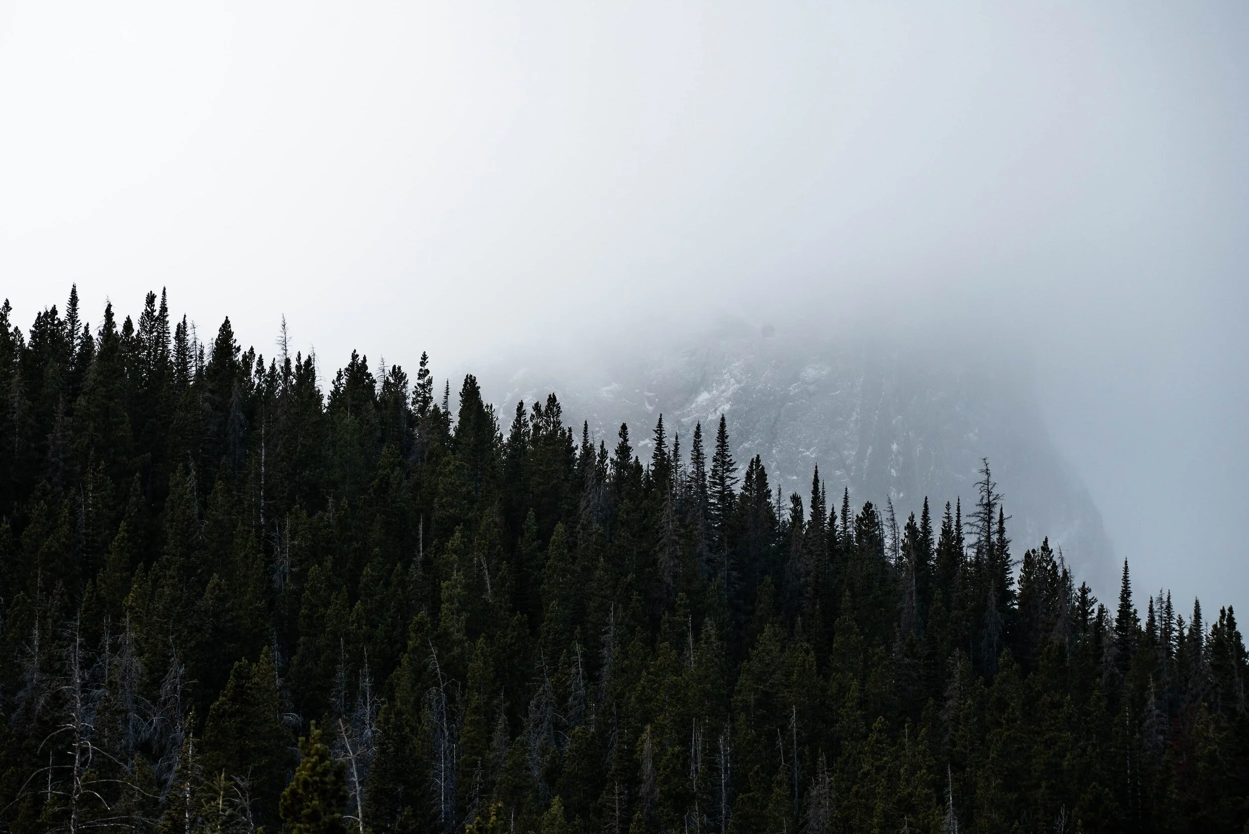 Announcing 2022 contest winners