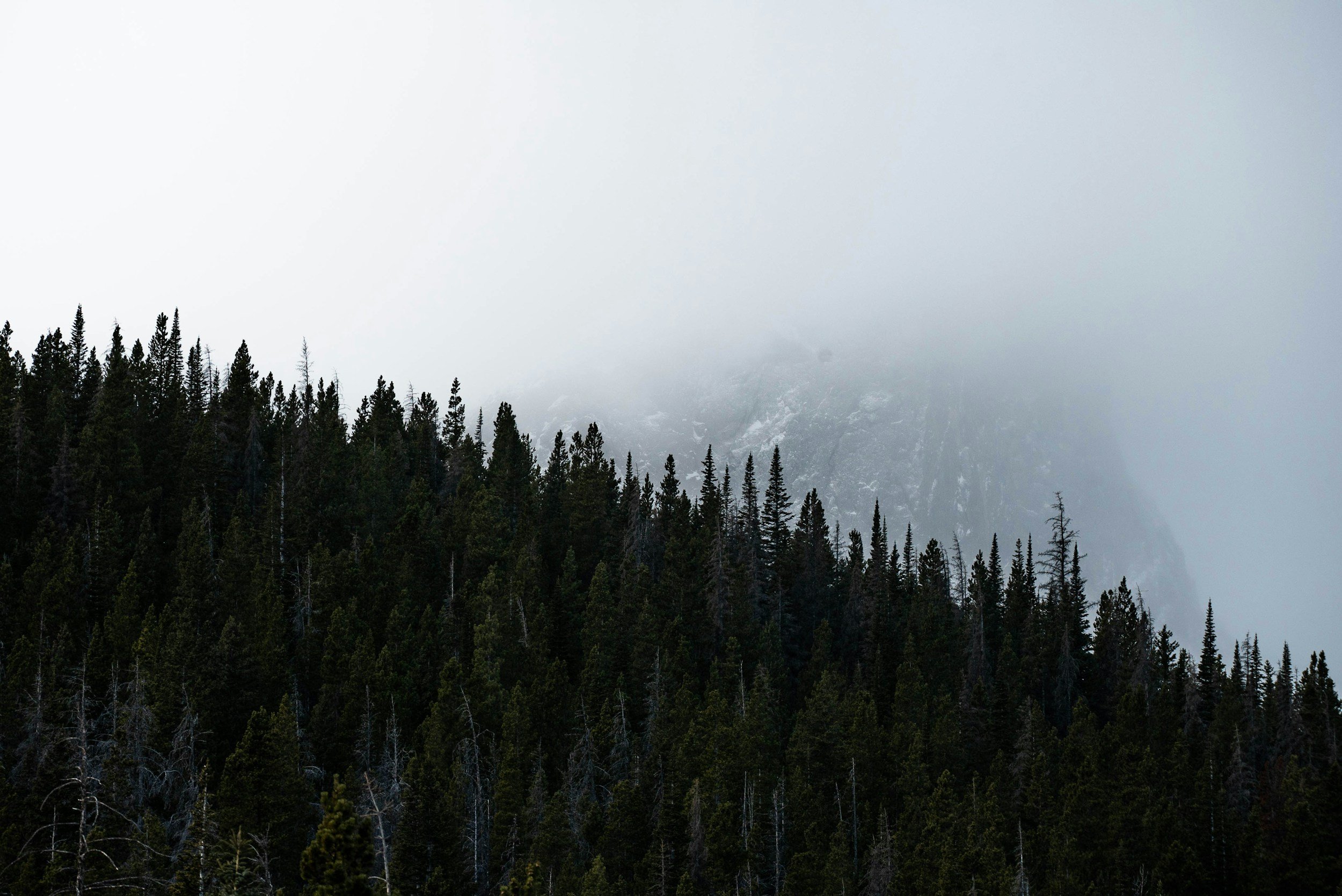 Apply for a spot on the SPJ Oregon board 