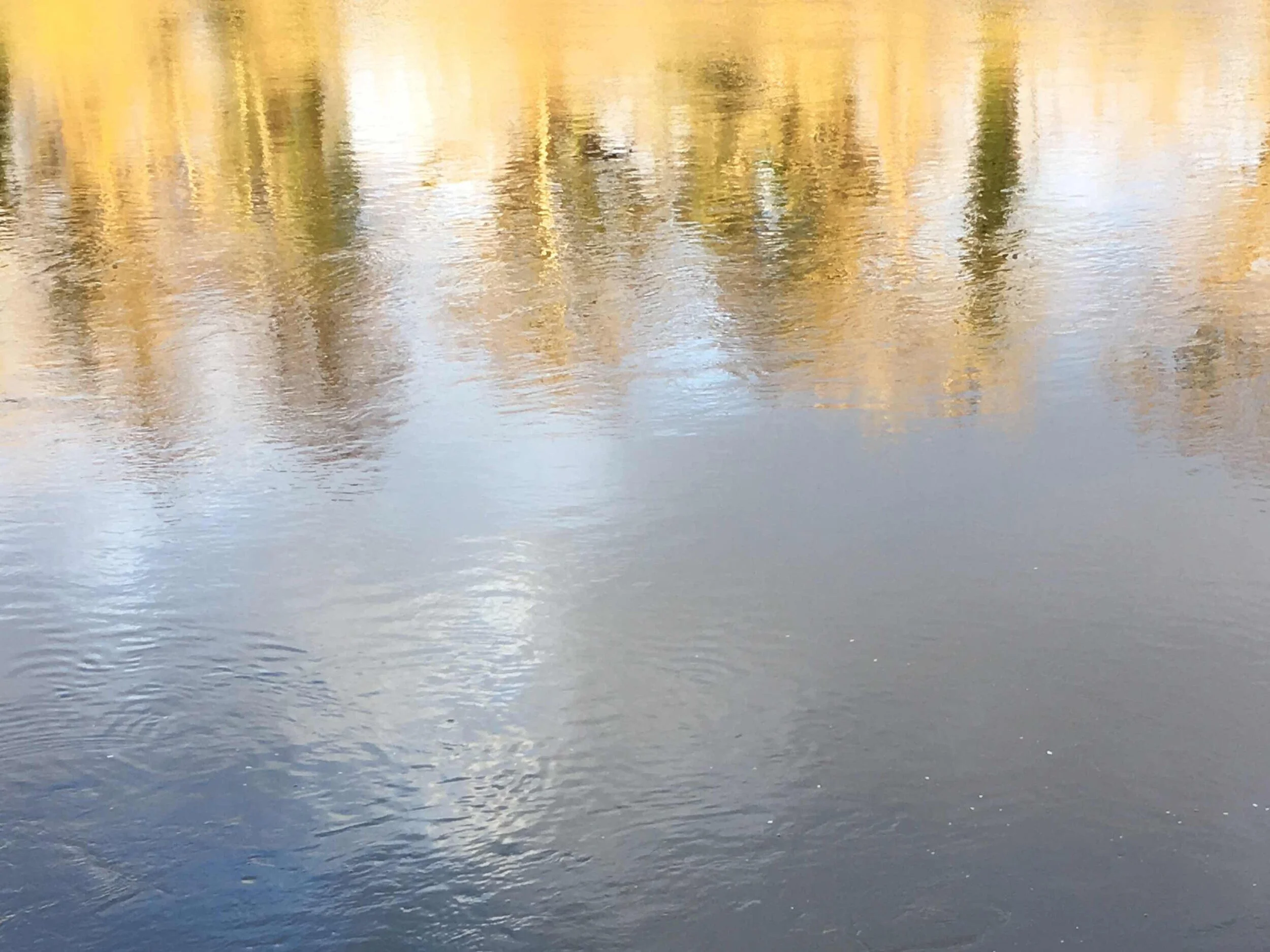 goldenhourriver.jpg