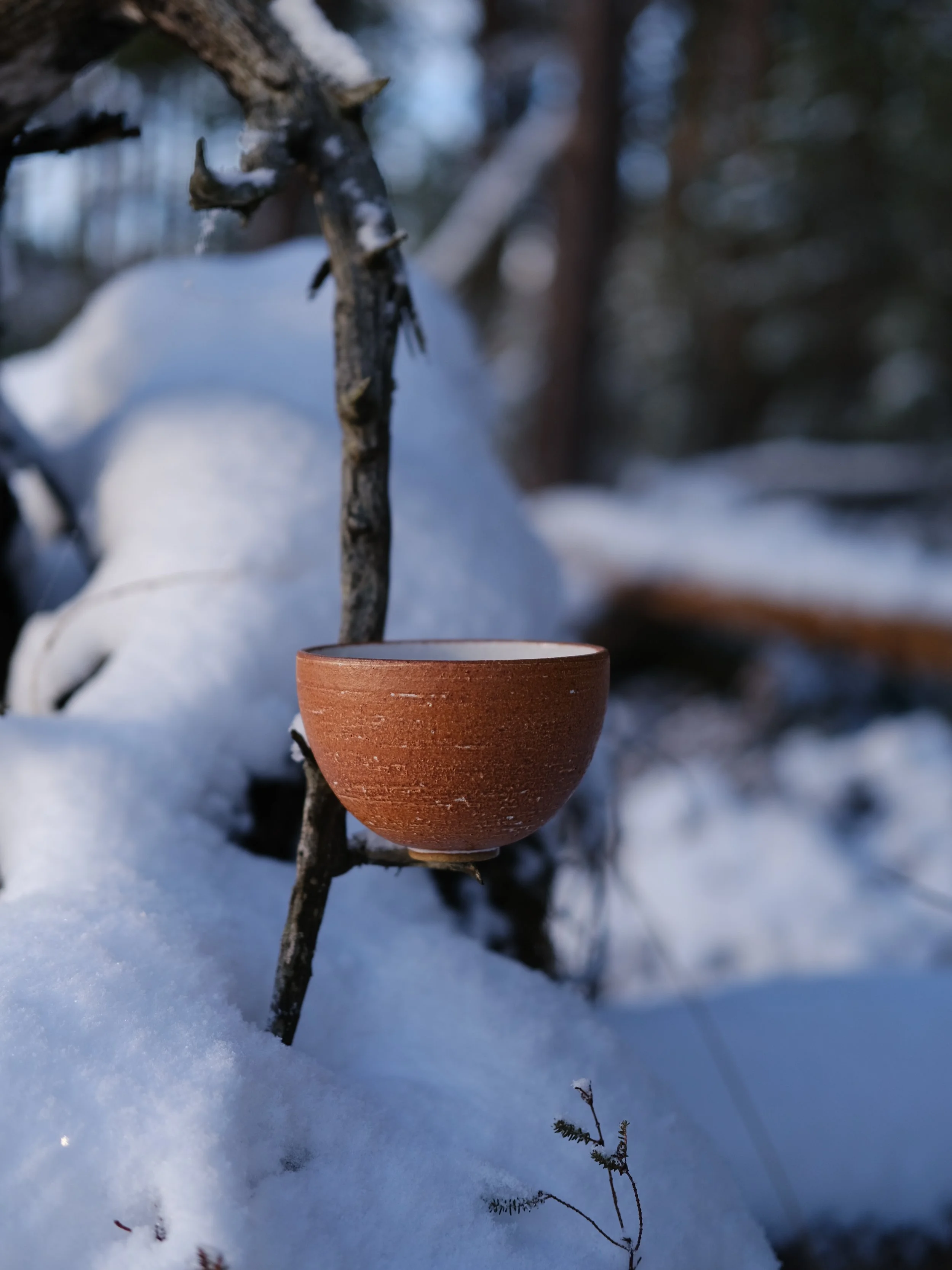 crosshatch of snow shadows and solstice sun