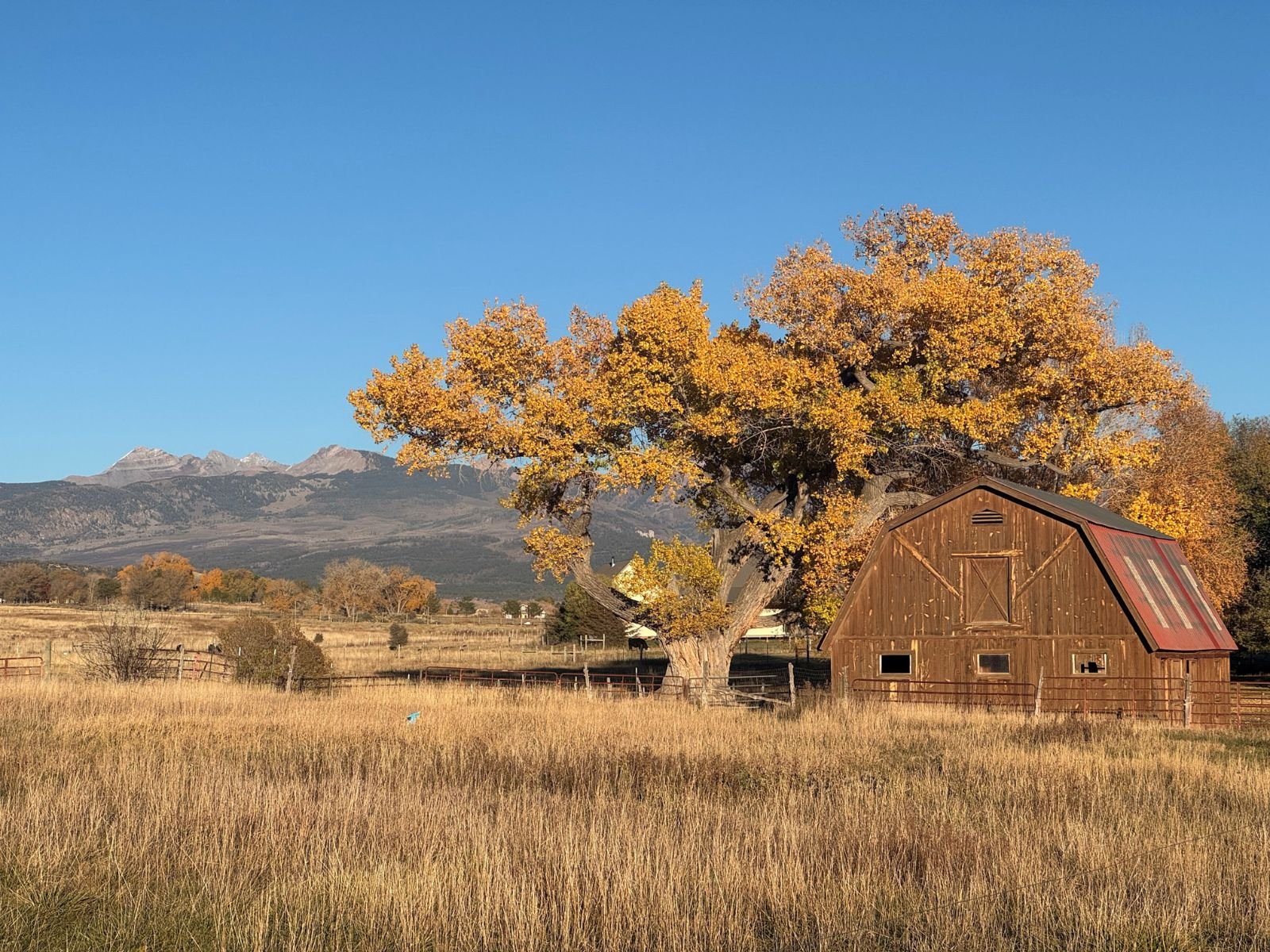 Barbara's Barn