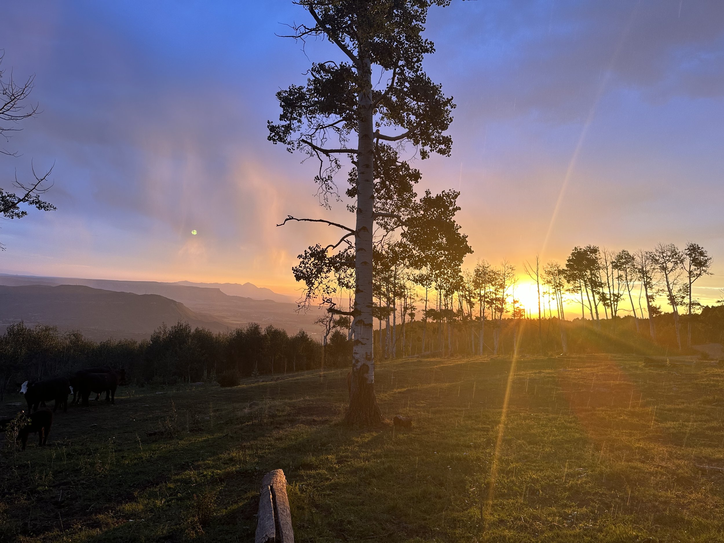 Sunset over Mancos Valley