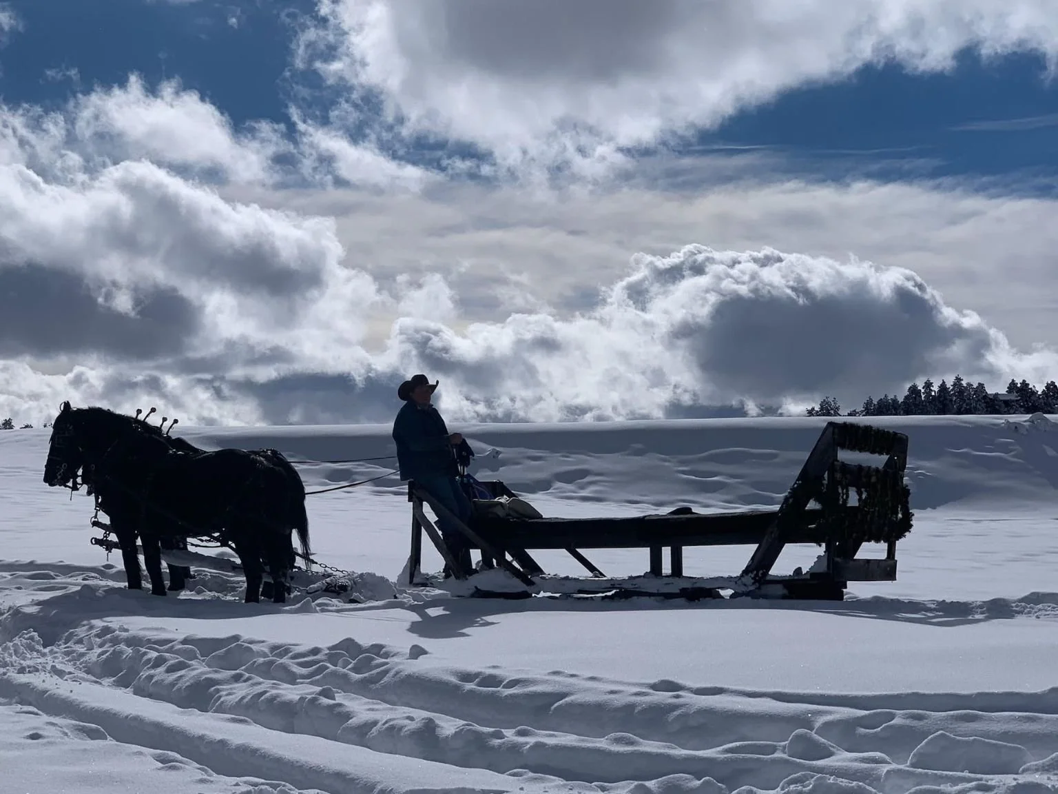3rd place - Sleigh Ride