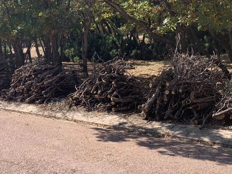 Well-stacked slash pile example