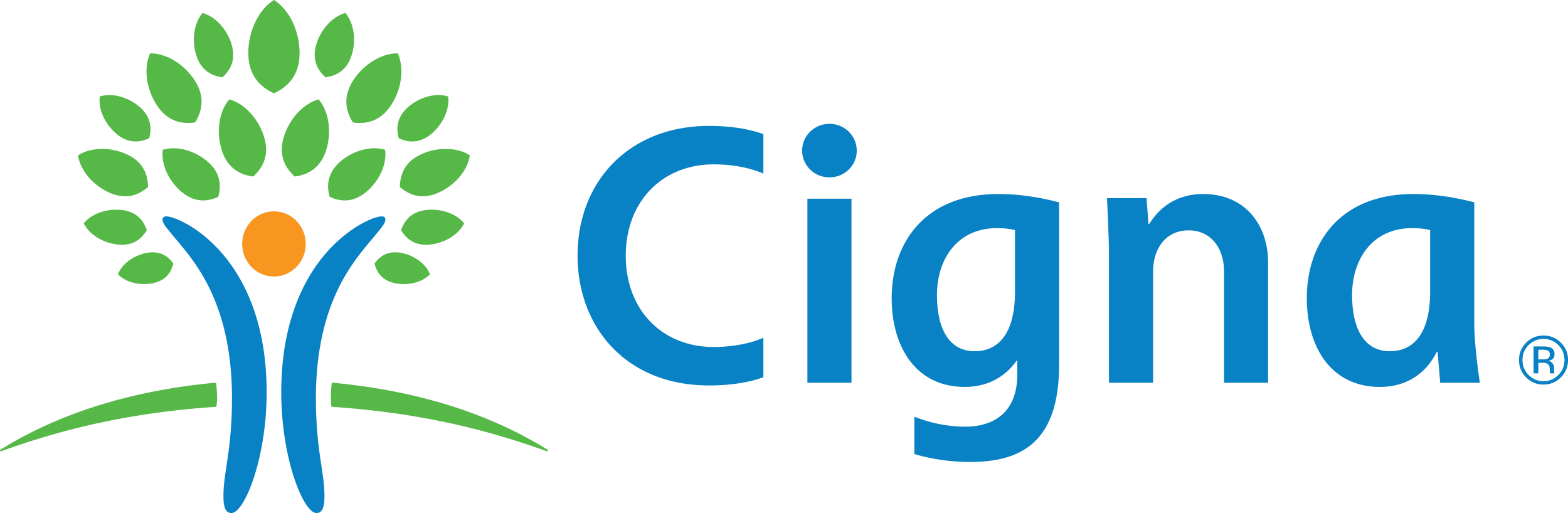 logo-cigna1.webp