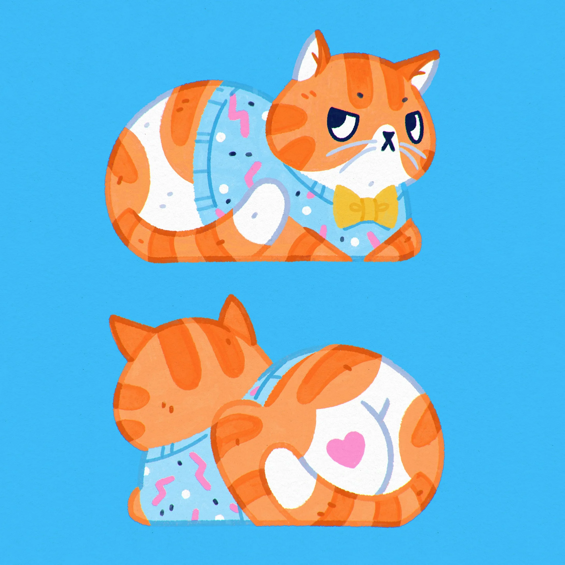 buttcat.jpg