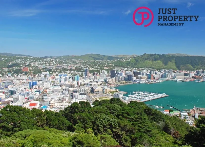 Wellington Rental Market Review - February 2025