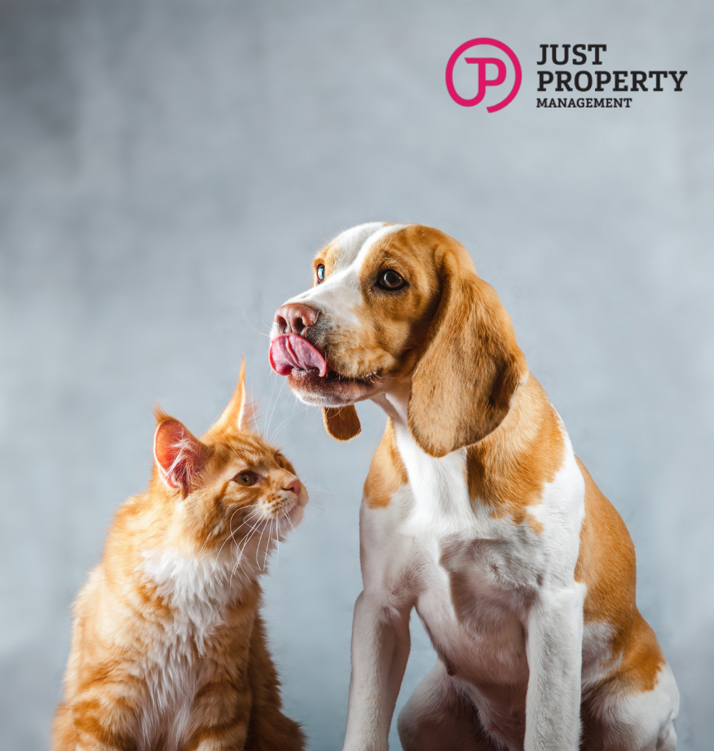 Loosening The Leash - Upcoming Tenancy Law Changes for Pets in Rentals