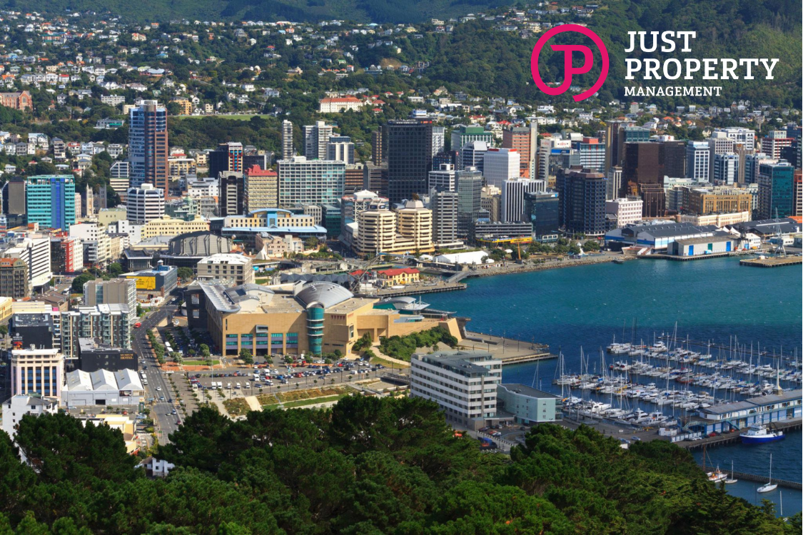 Wellington Rental Market Review - January 2026