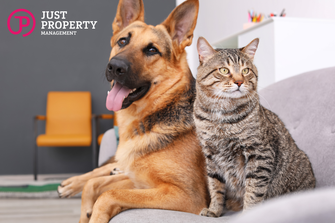 Tenancy Tribunal Pet Consent Ruling