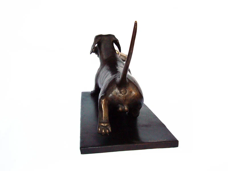 dog011.jpg
