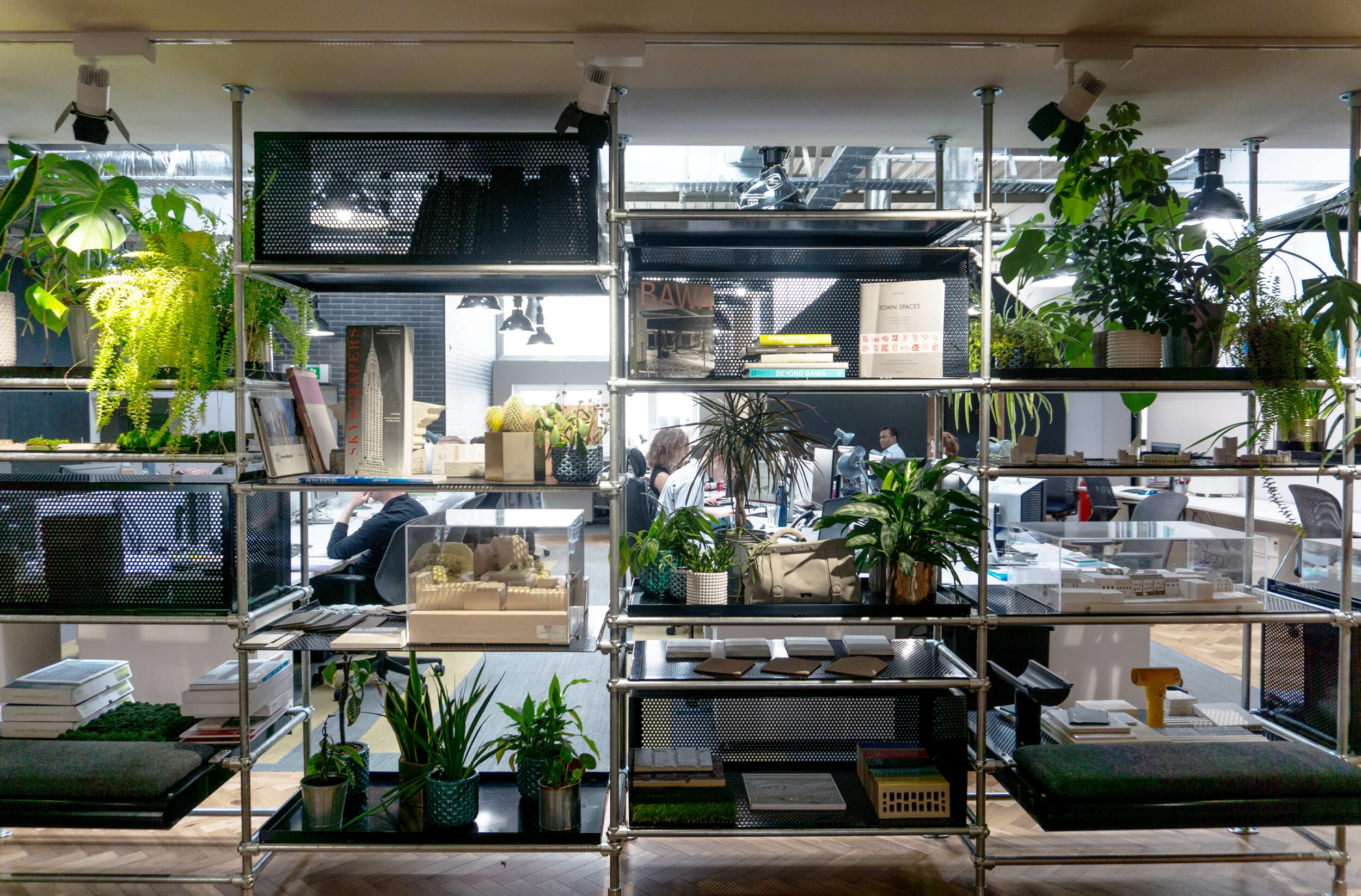 green wall (elevation).jpg