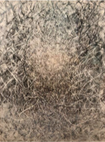 Mary Dondero - Waning Moon, Pastel on paper 38 x 50 inches