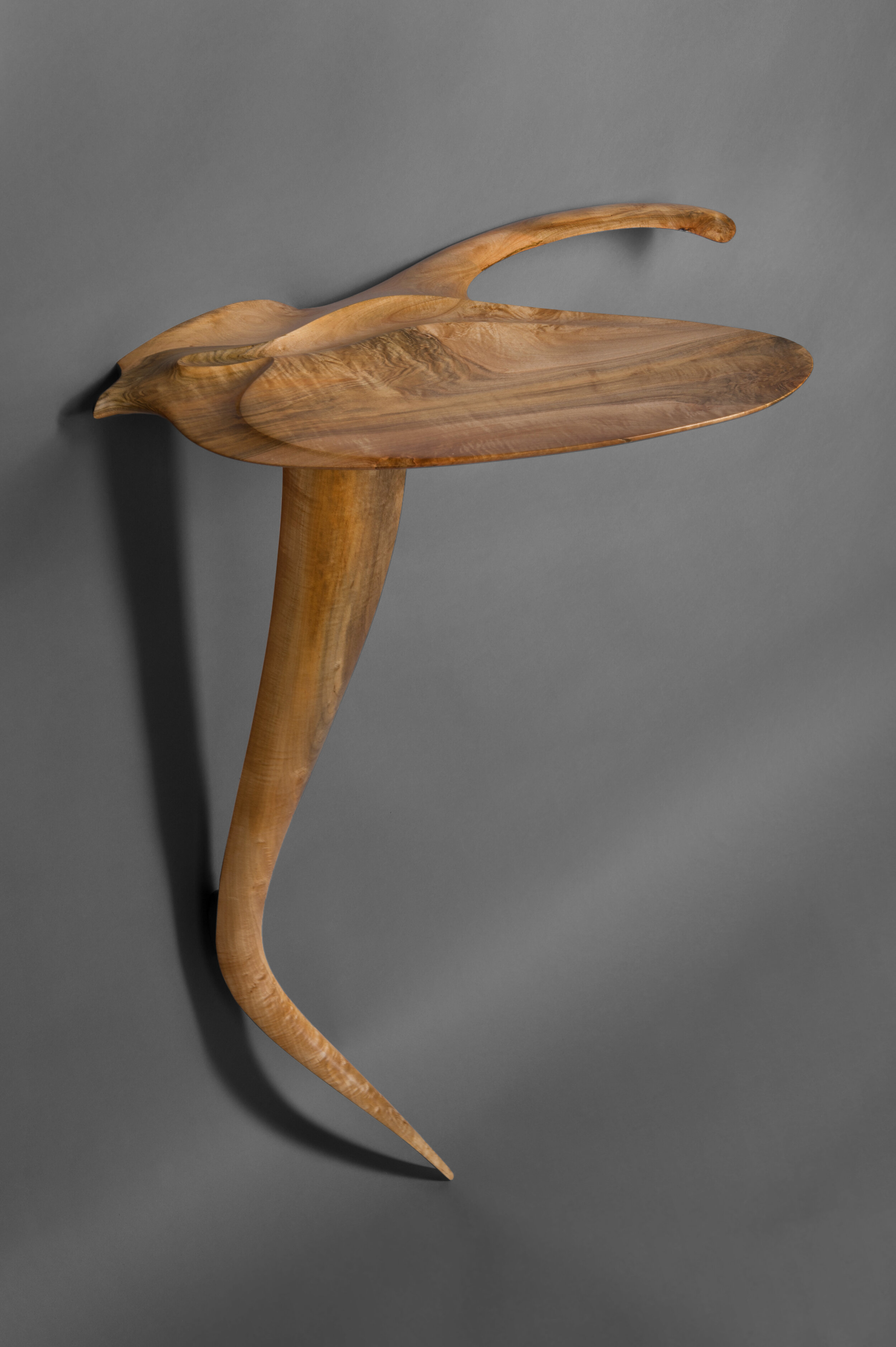 Patrick Kana - Pteria, Norway maple, limestone, 32 x 30 x 16 inches