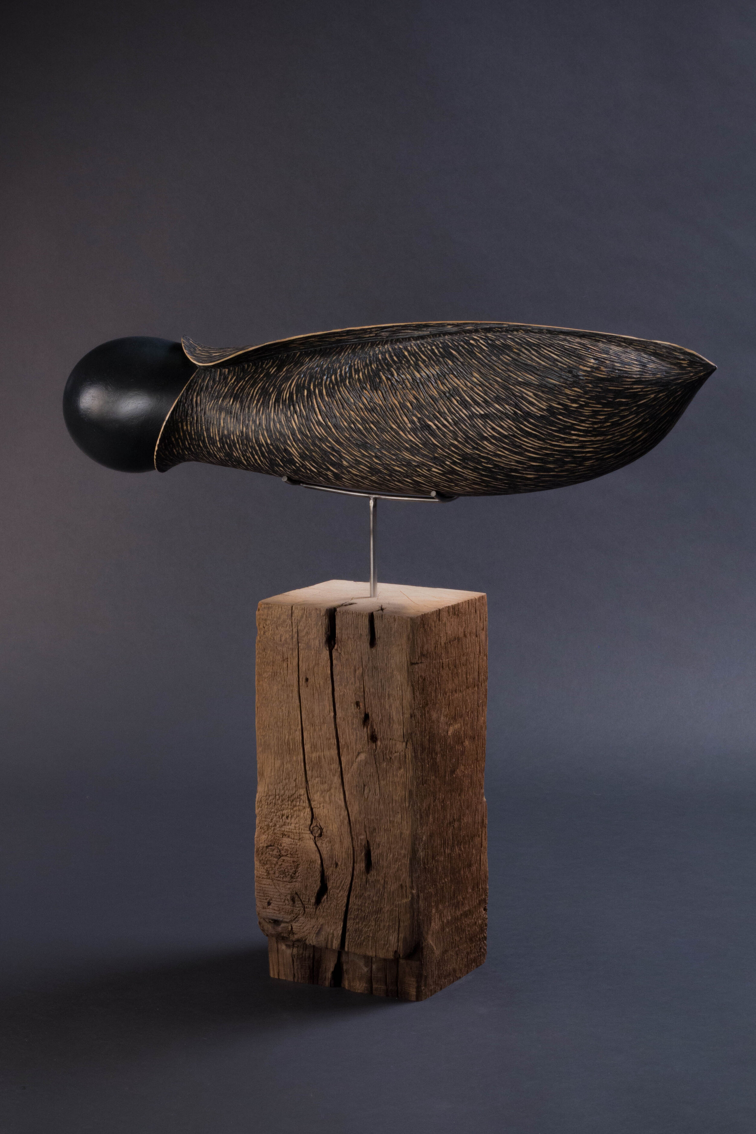 Patrick Kana - Specimen 4 Chrysalis, ash, mil paint, steel, cedar, 22 x 24 x 6 inches