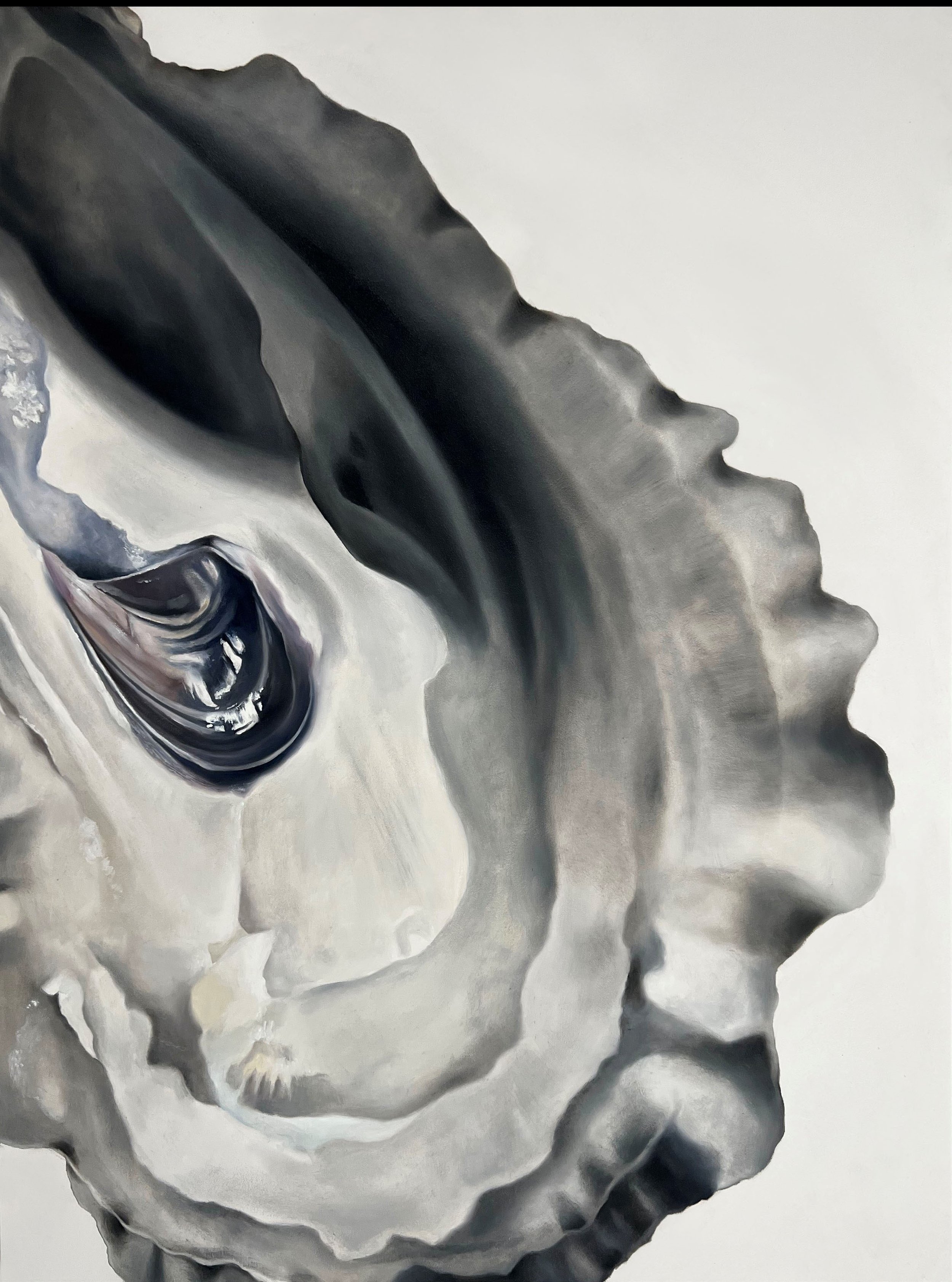 Renee Levin, "Oyster Cropped", 48 x 36, oil on canvas