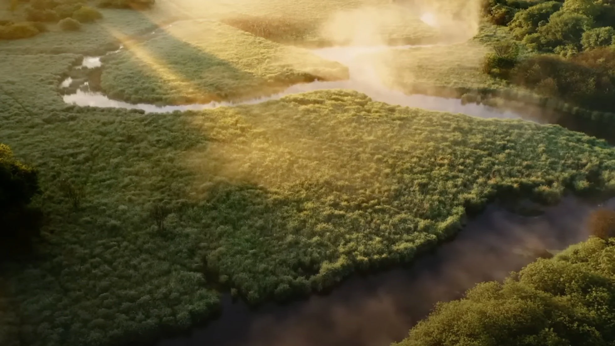 Ancient Nutrition | Believe Full Length