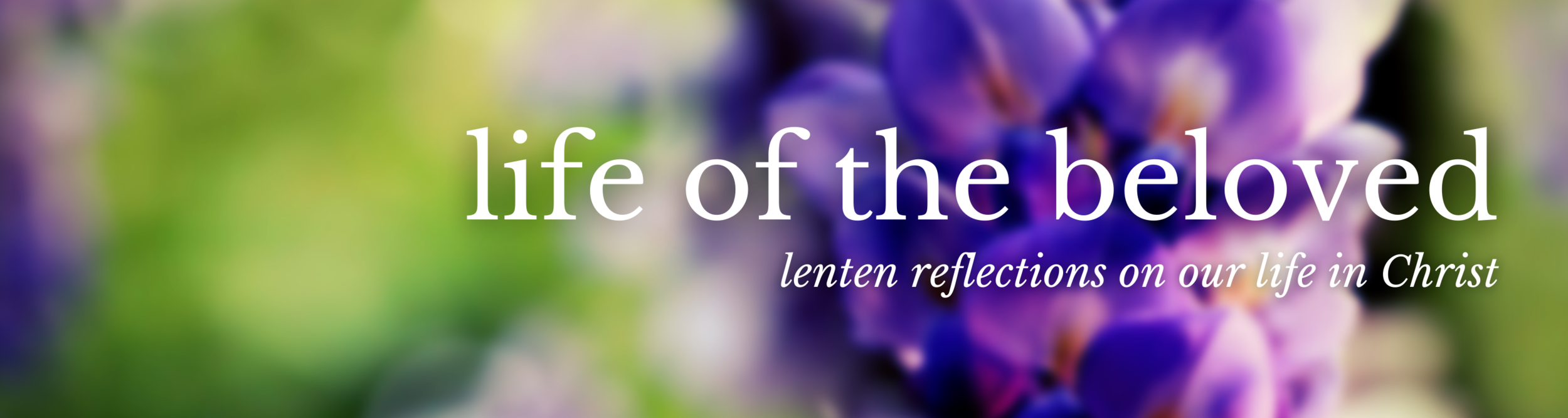 Copy of Copy of Copy of beloved handout banner.png