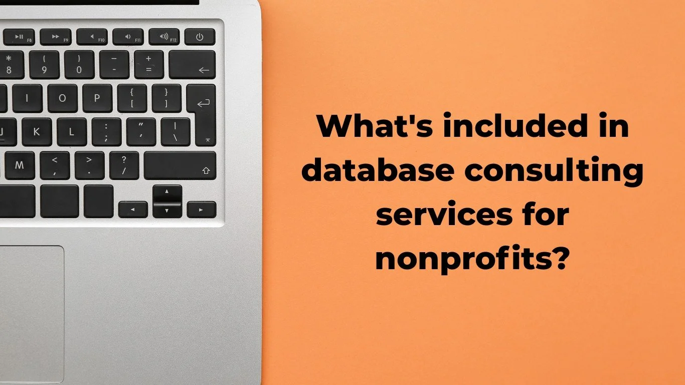 What's included in database consulting services for nonprofits?