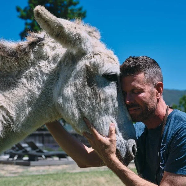 Nonprofit content creation case study for Oscar's Place