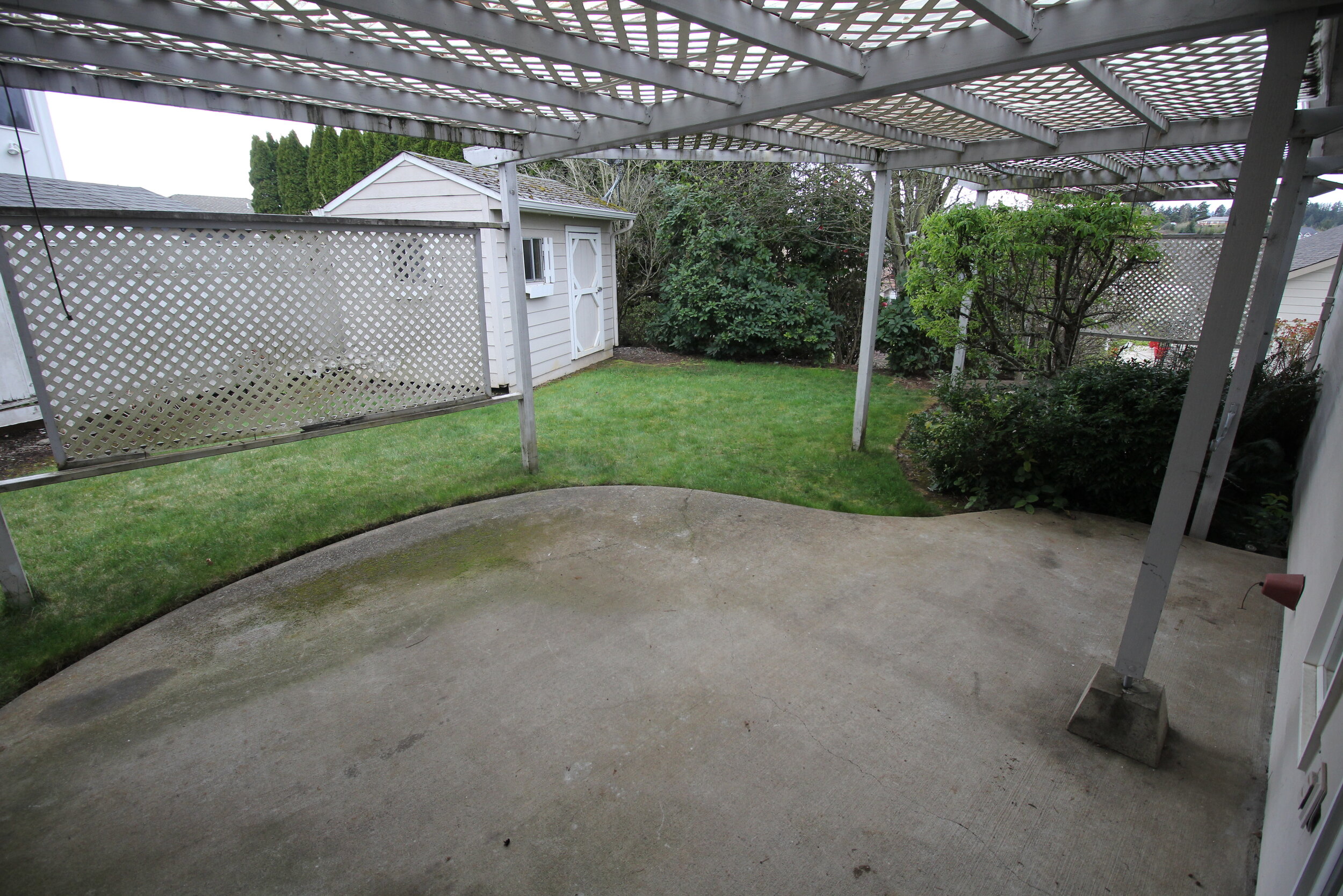 backyard 1.JPG