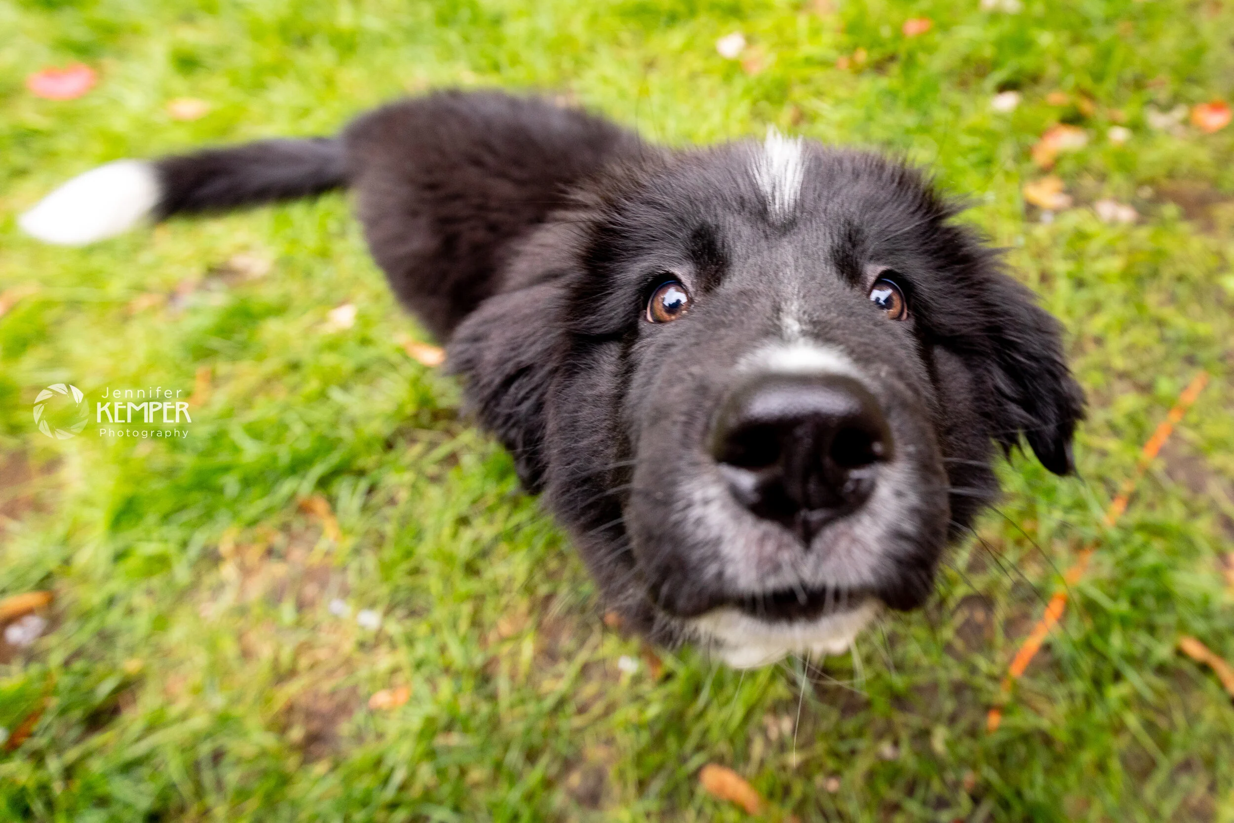 Murphy-2210.jpg