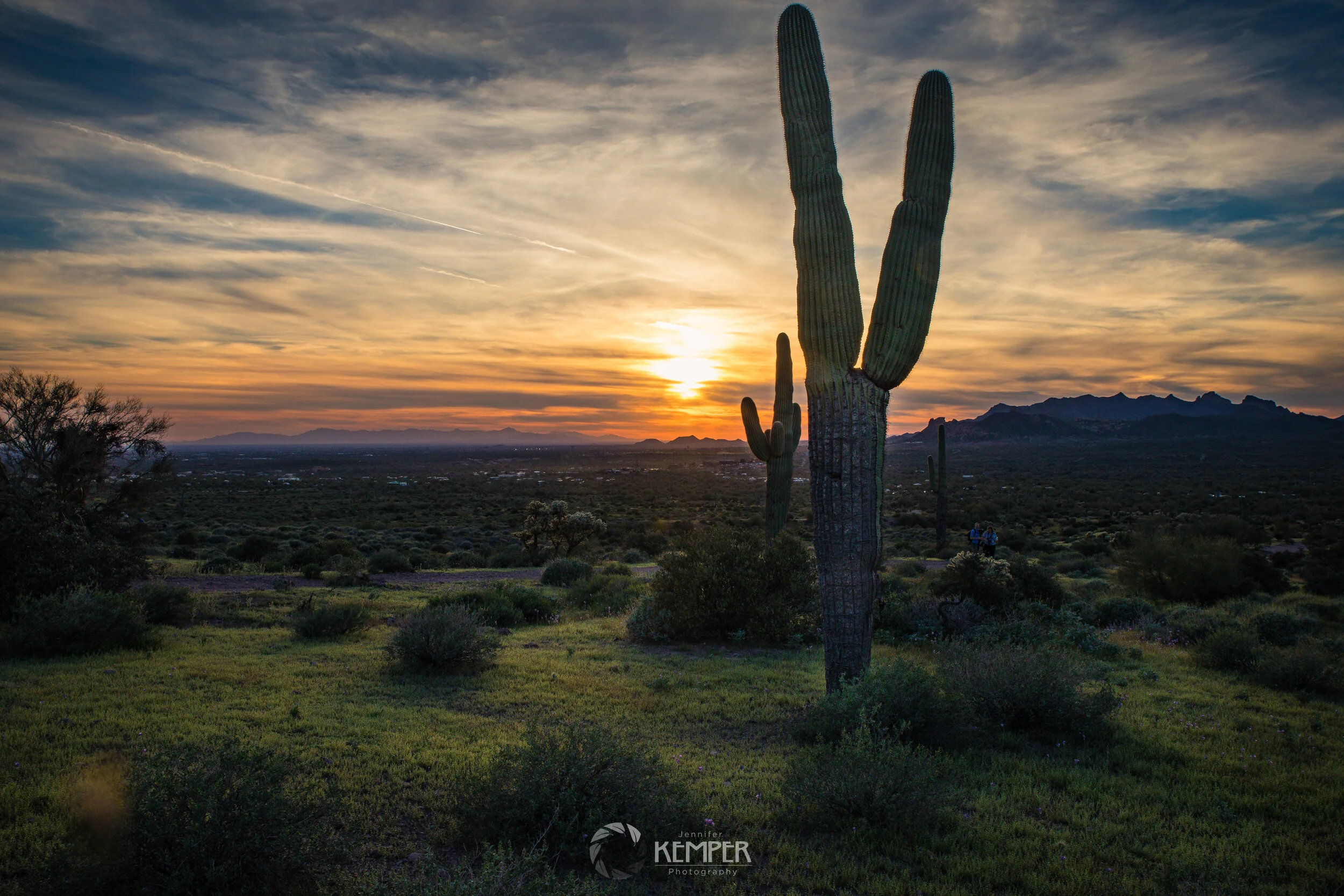 Phoenix/Tuson Area