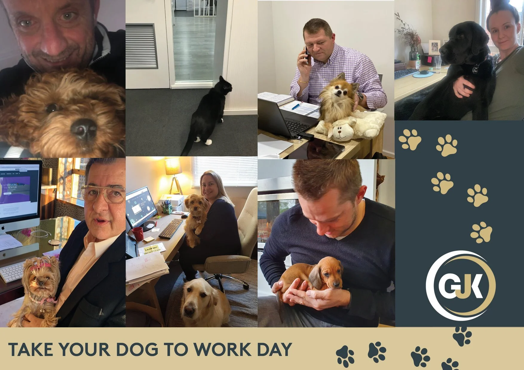 Take your dog to work