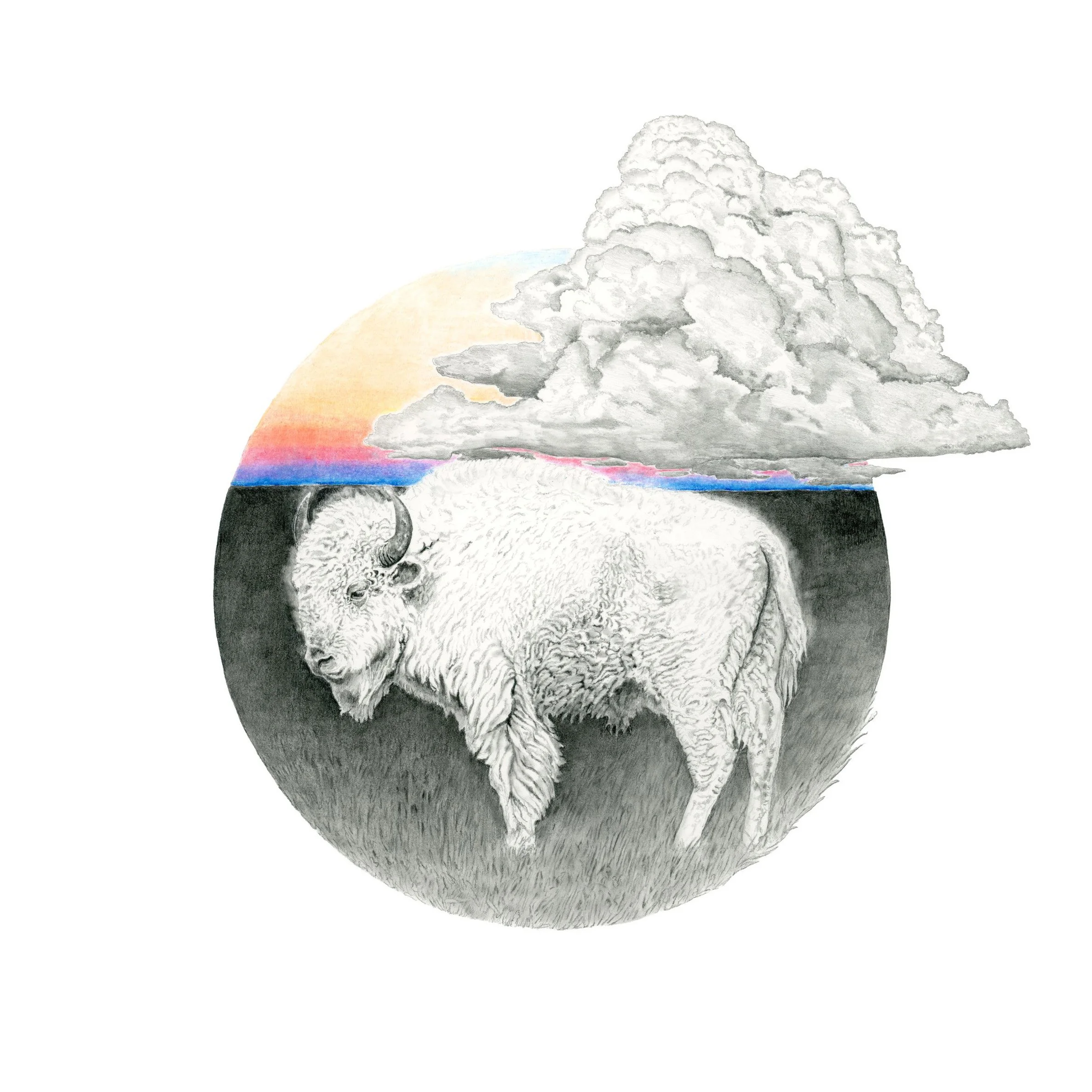 White Bison Sunrise-Websitesquare.jpg
