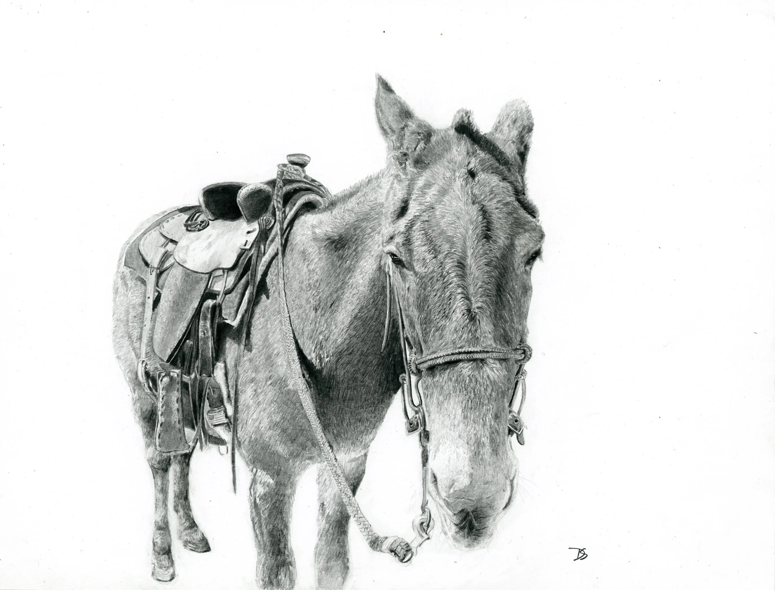 237039EB-6DE9-4CF6-A384-12D91166E615