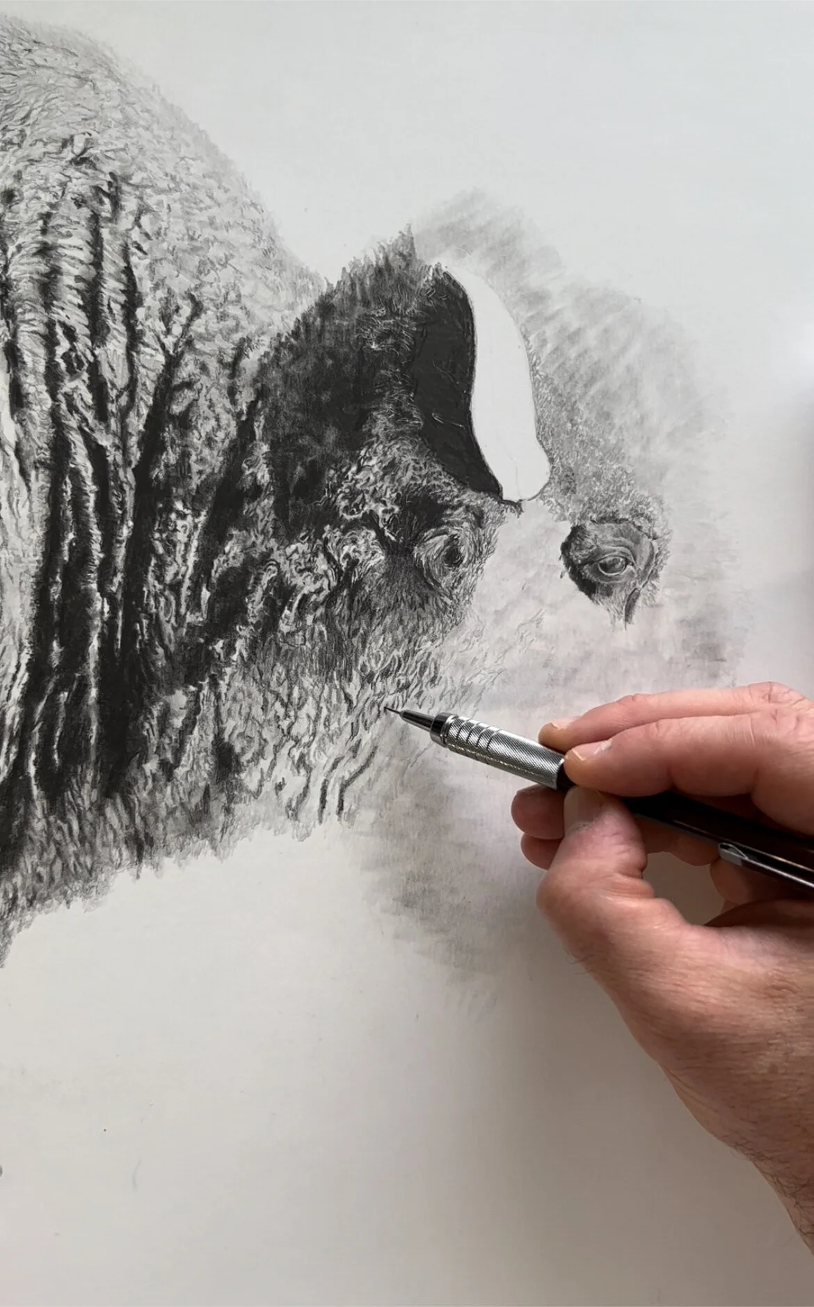 9F48E98E-02A4-436C-A9A2-B0E2B7BE4B7D