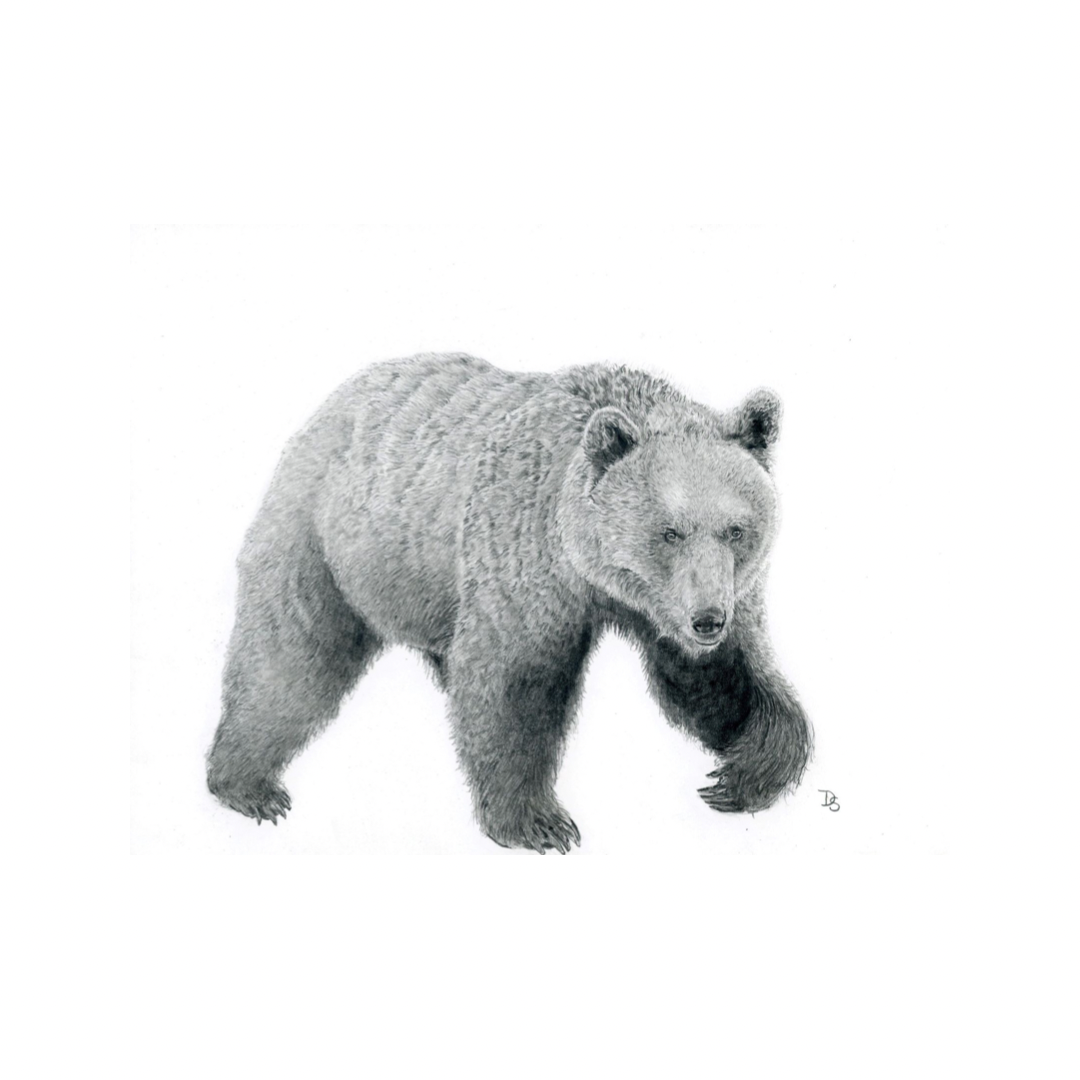 F44D834A-E9A8-4A63-8158-D1004CB04D3A