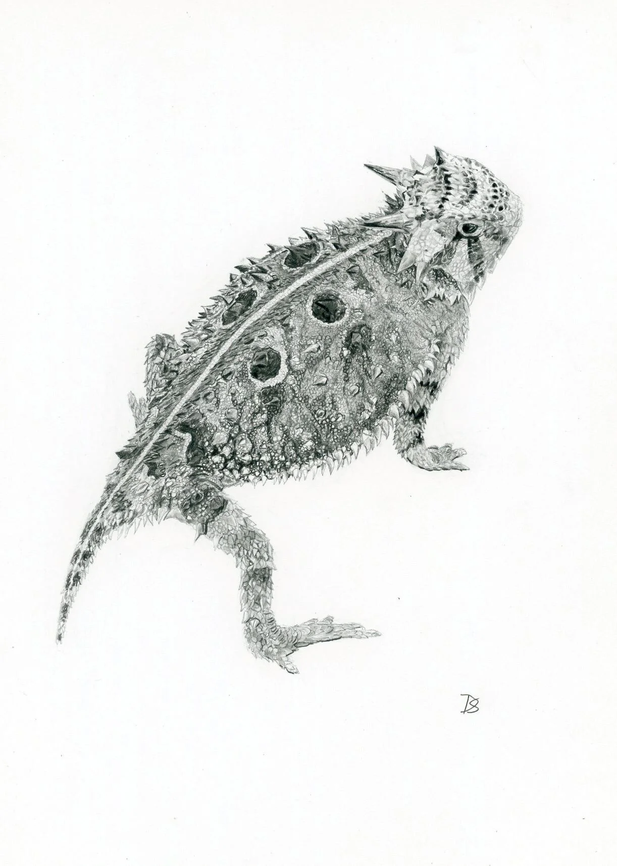 4F85426C-67B2-4DE1-8005-364E6D9963B5