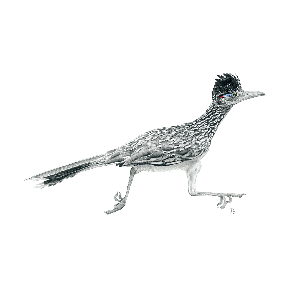 E4198612-B647-452C-B8C8-B3532932A082