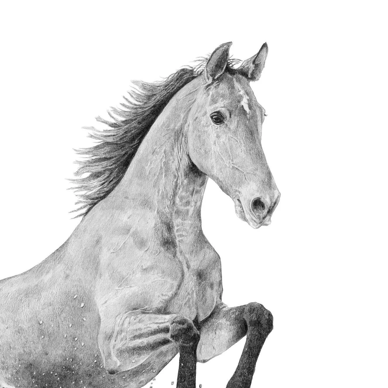 Faith Leap-Websitecrop1.jpg