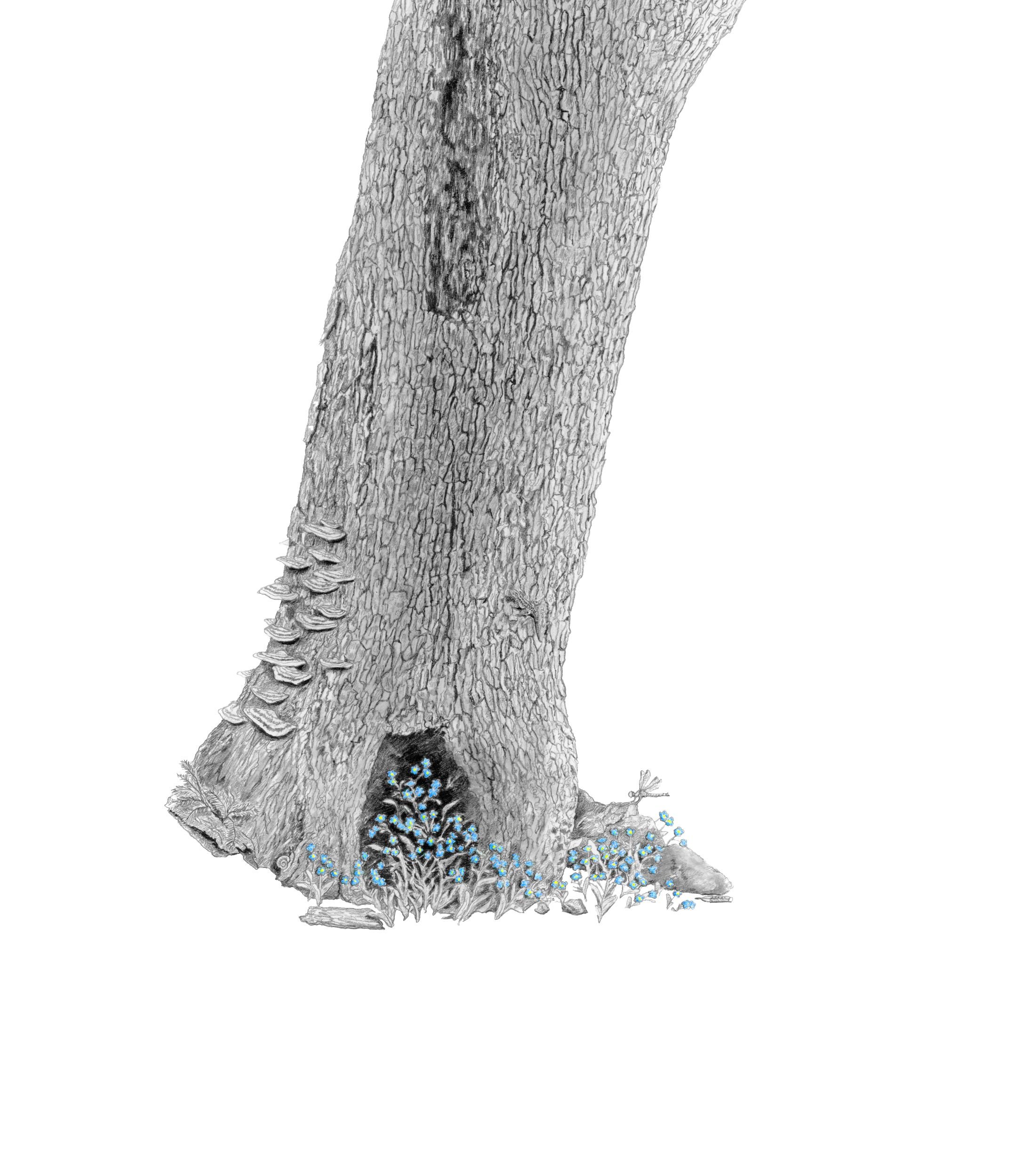 Forget Me Not Part 2-Website.jpg