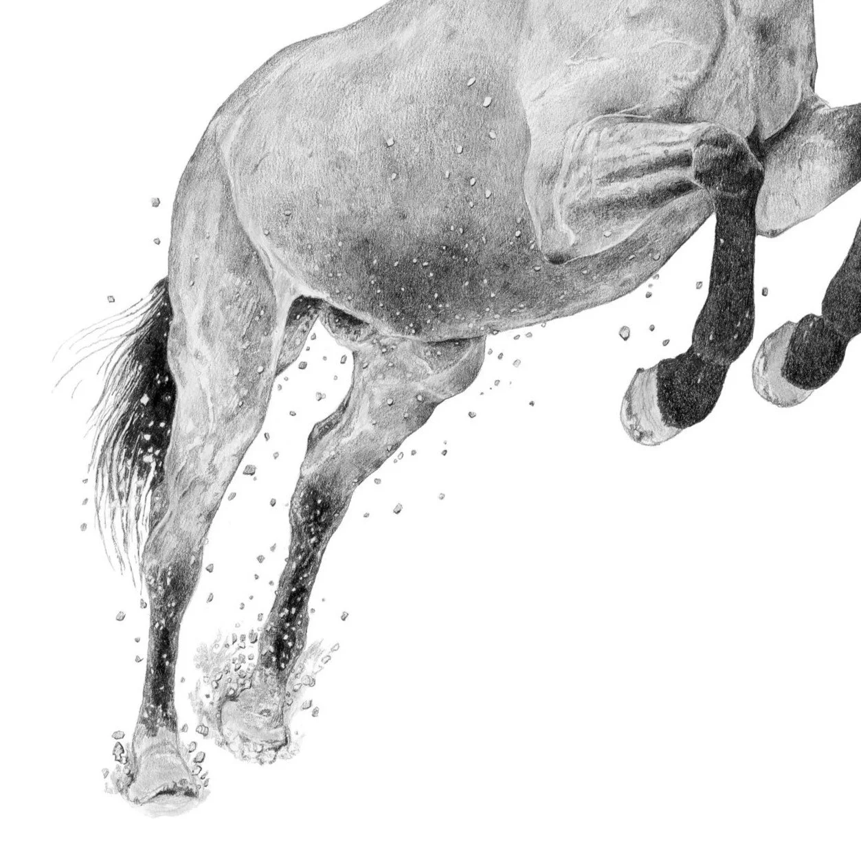 Faith Leap-Websitecrop2.jpg