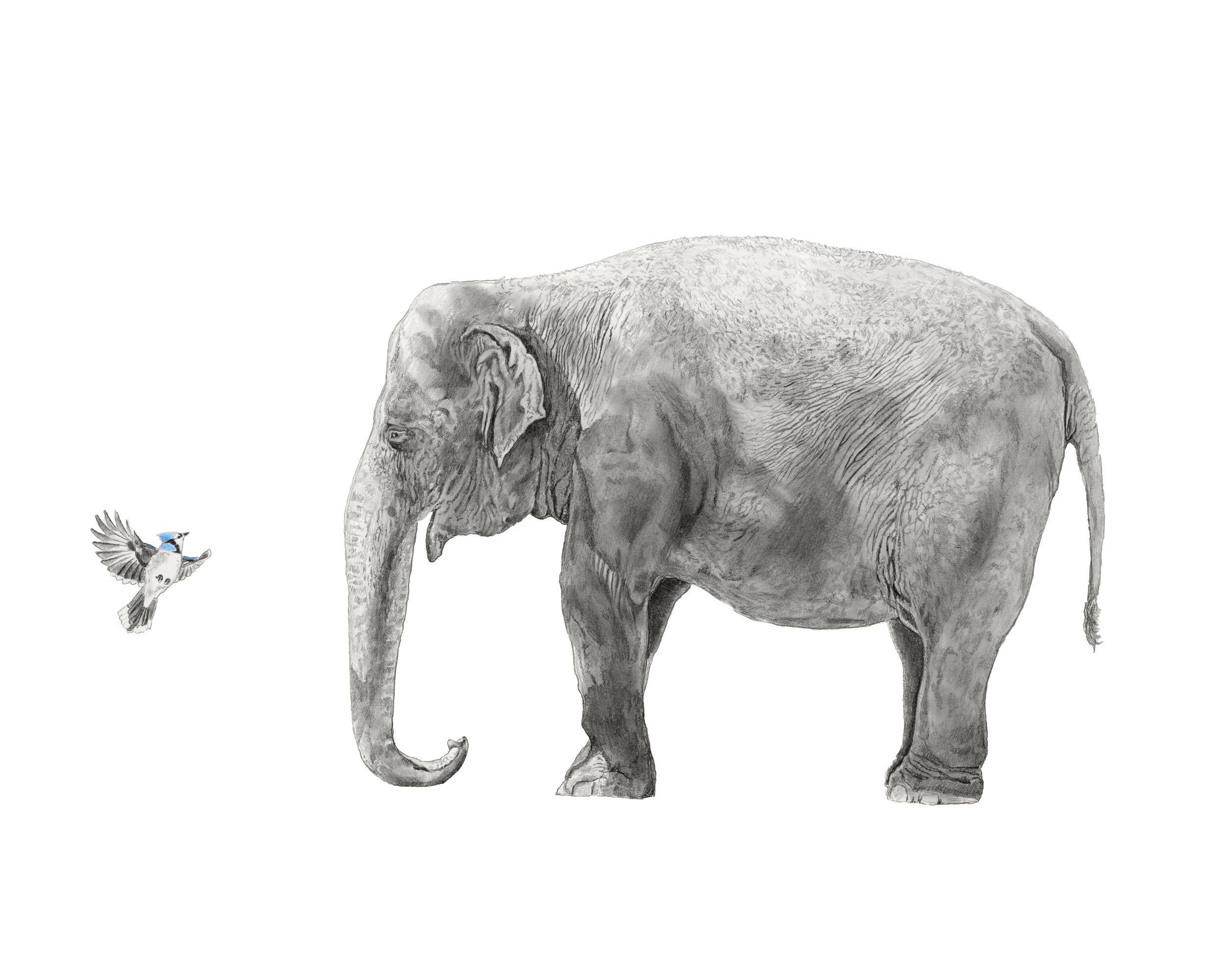 Unexpected Encounter-Website.jpg