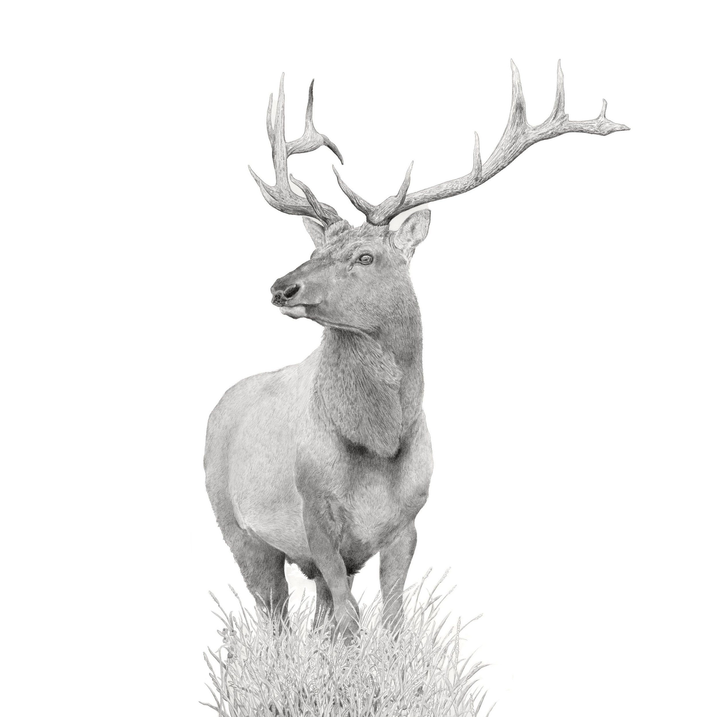 Summit-Website square.jpg