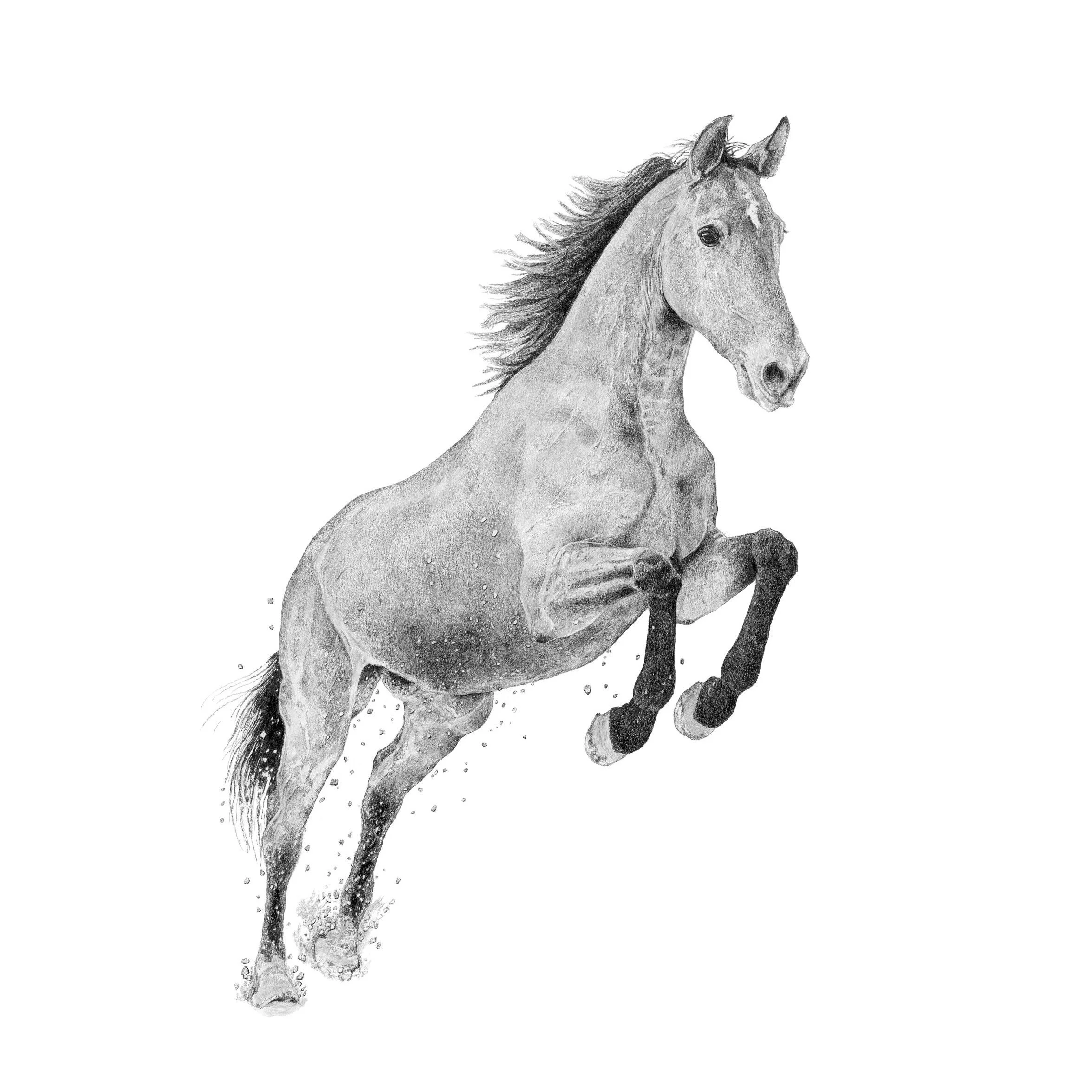 Faith Leap-Websitesquare.jpg