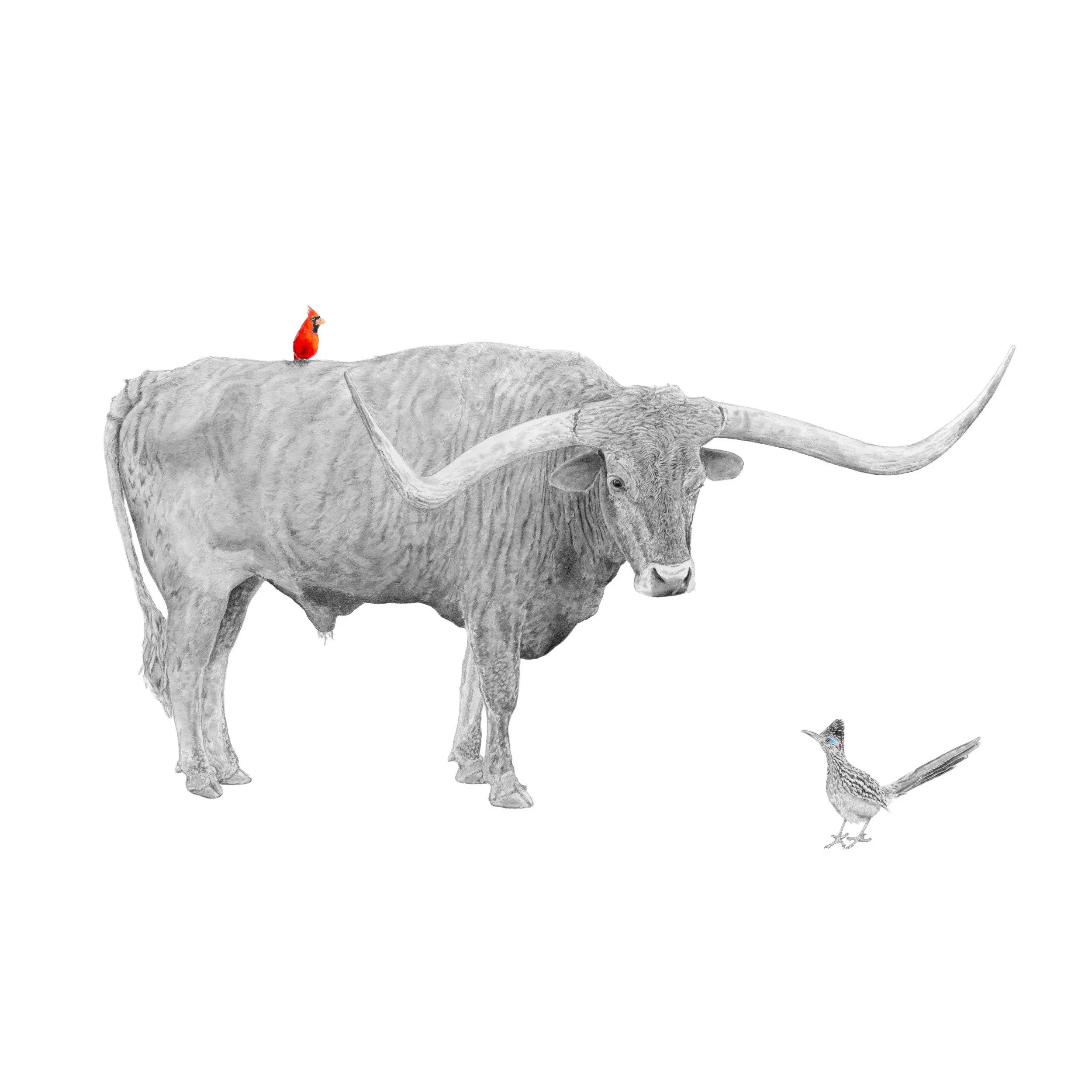 Dust and Glow-Websitesquare.jpg