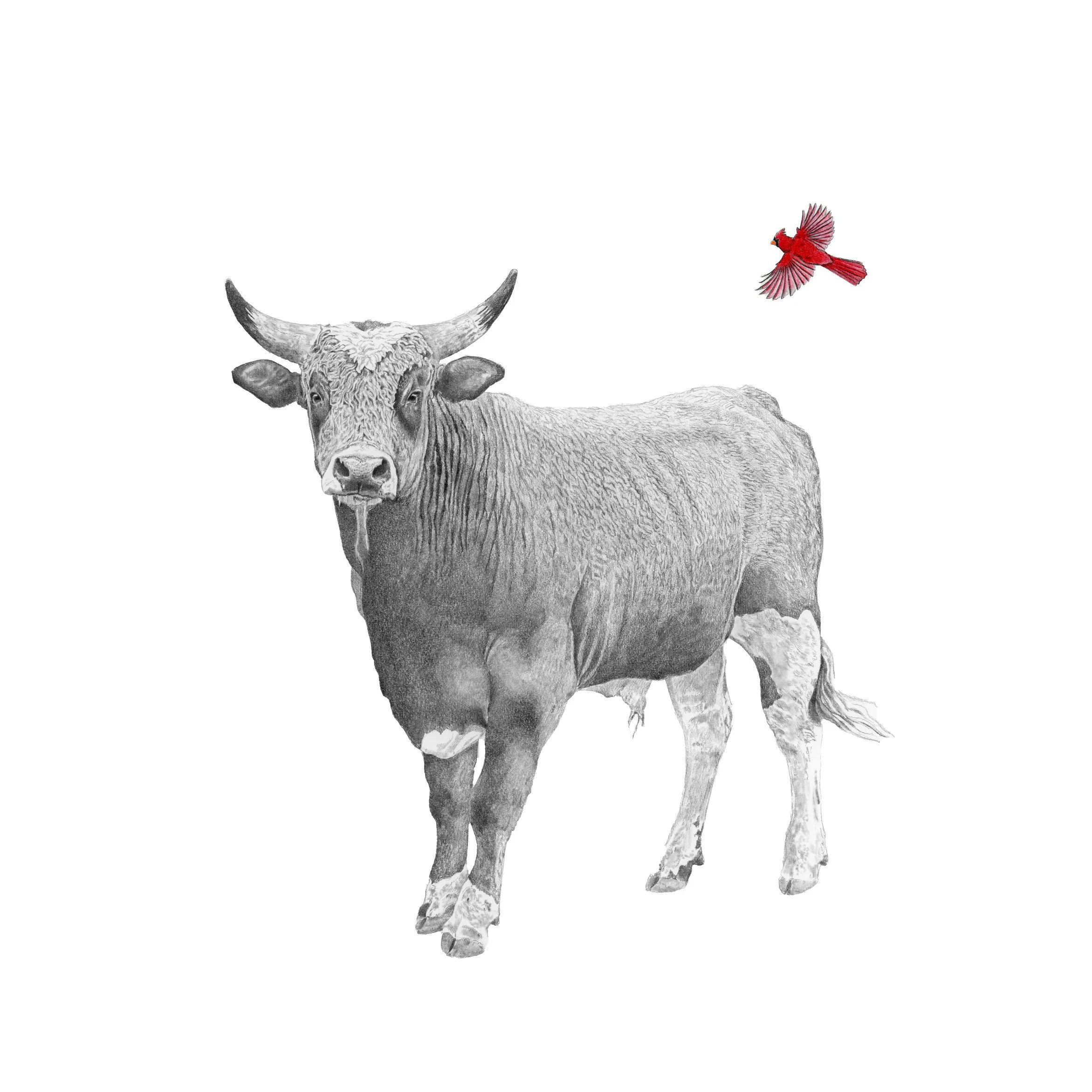 Under the Red-Websitesquare.jpg