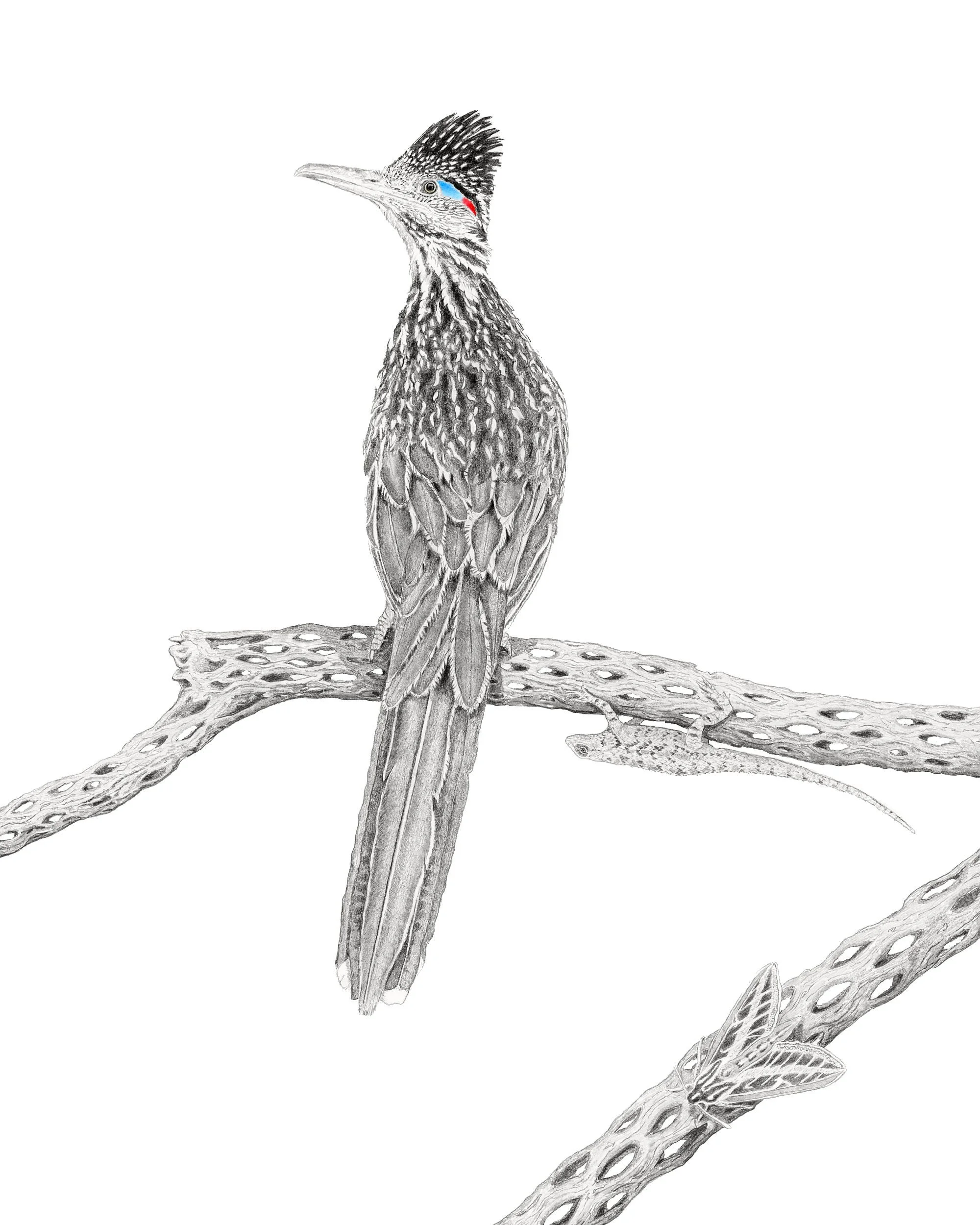 Desert Waltz-Website.jpg