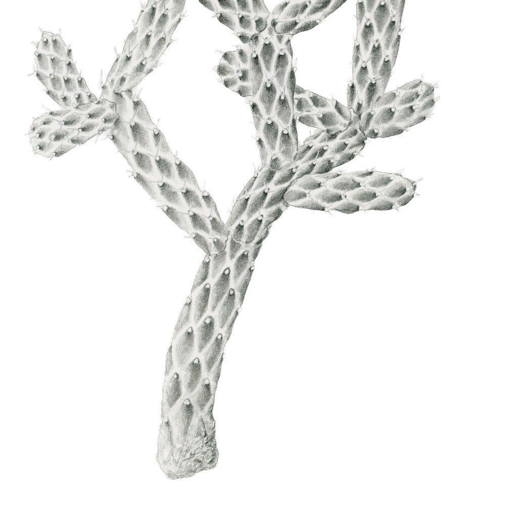 Patiently Waiting-Websitecrop3.jpg